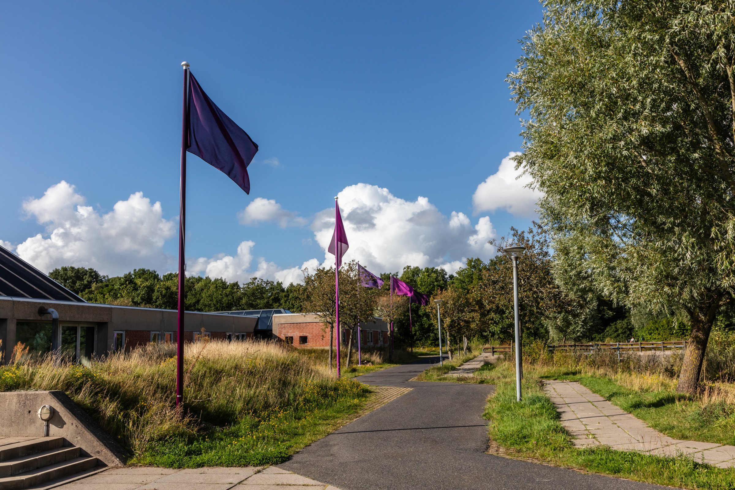 flags of knowledge 19.jpg