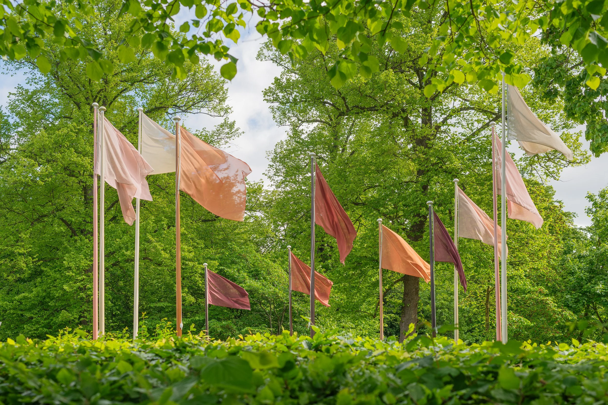 Native, Exotic, Normal : Circle of Flags 4 (1).jpg