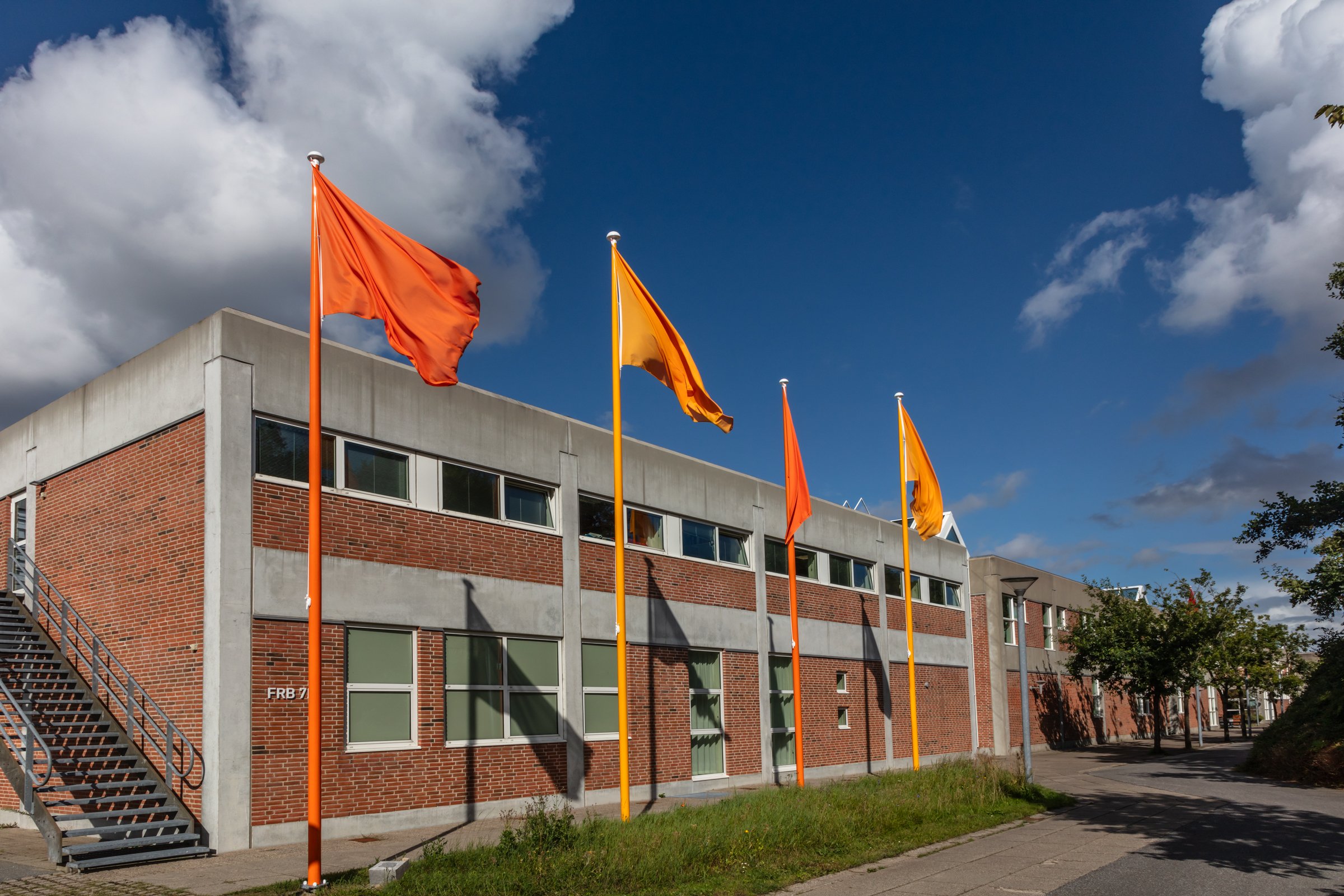 flags of knowledge 17.jpg