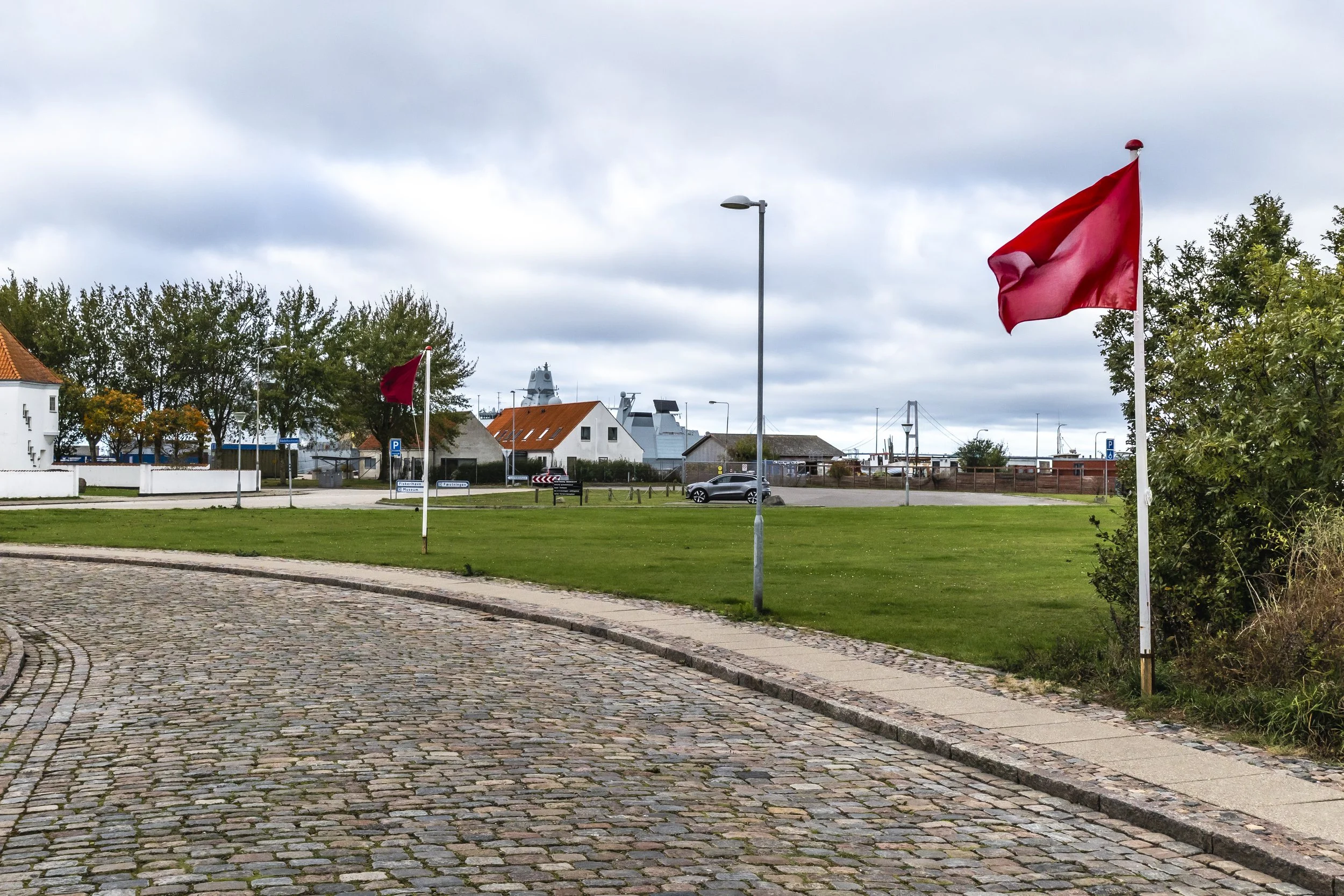 flags for open horizons 4.jpg