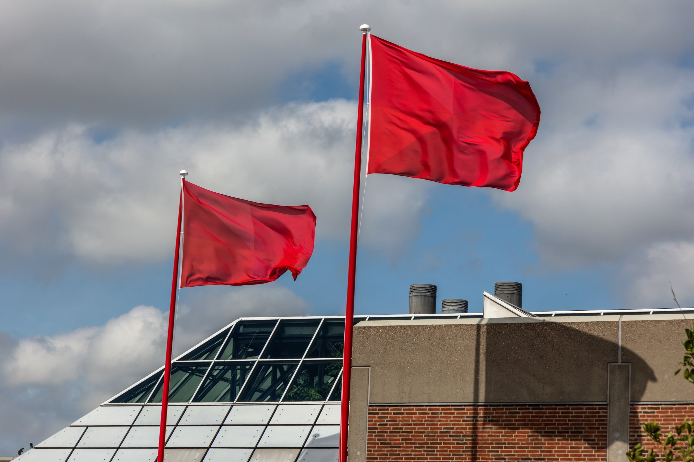 flags of knowledge 5.jpg