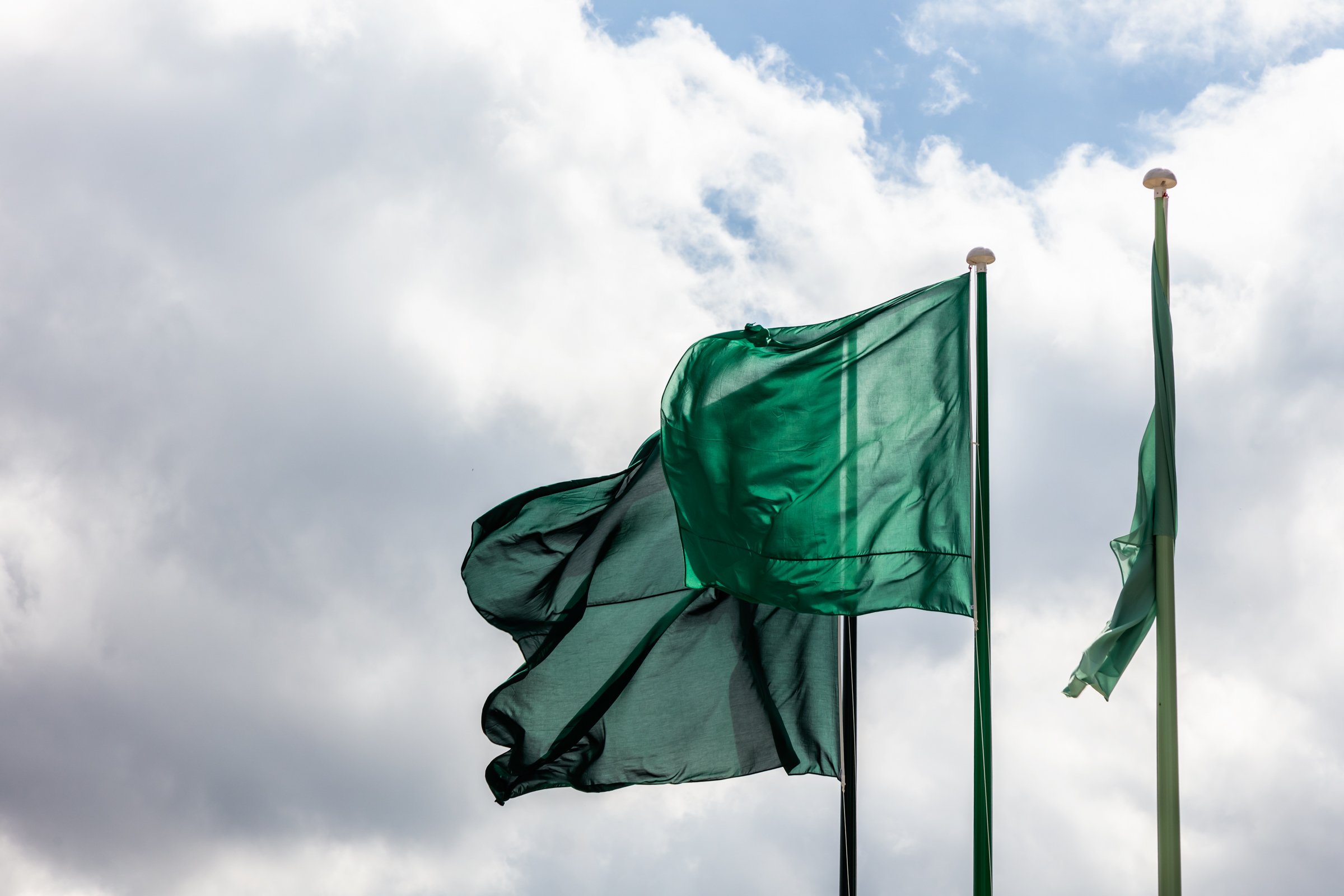 flags of knowledge 7.jpg