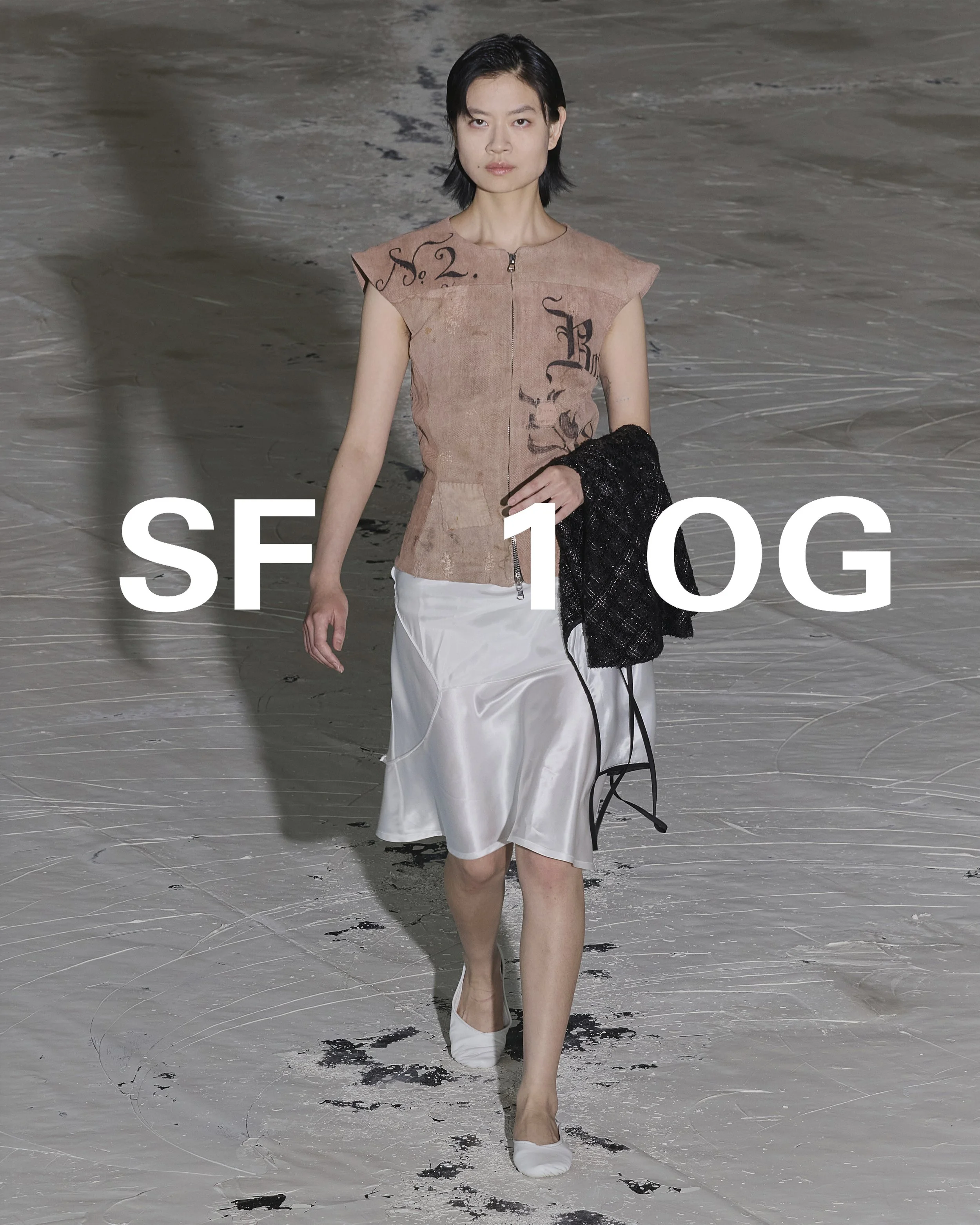sf6.jpg