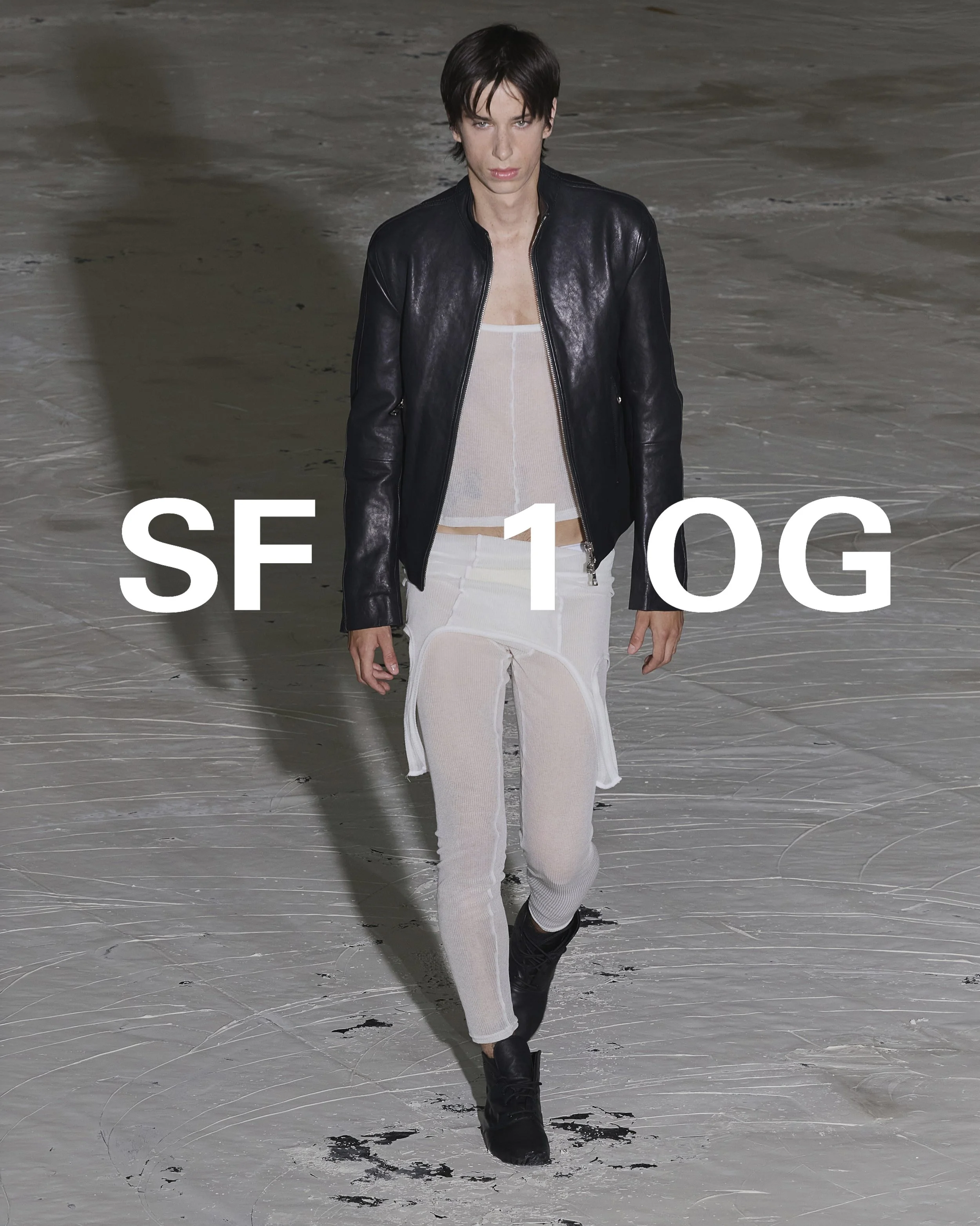 sf39.jpg
