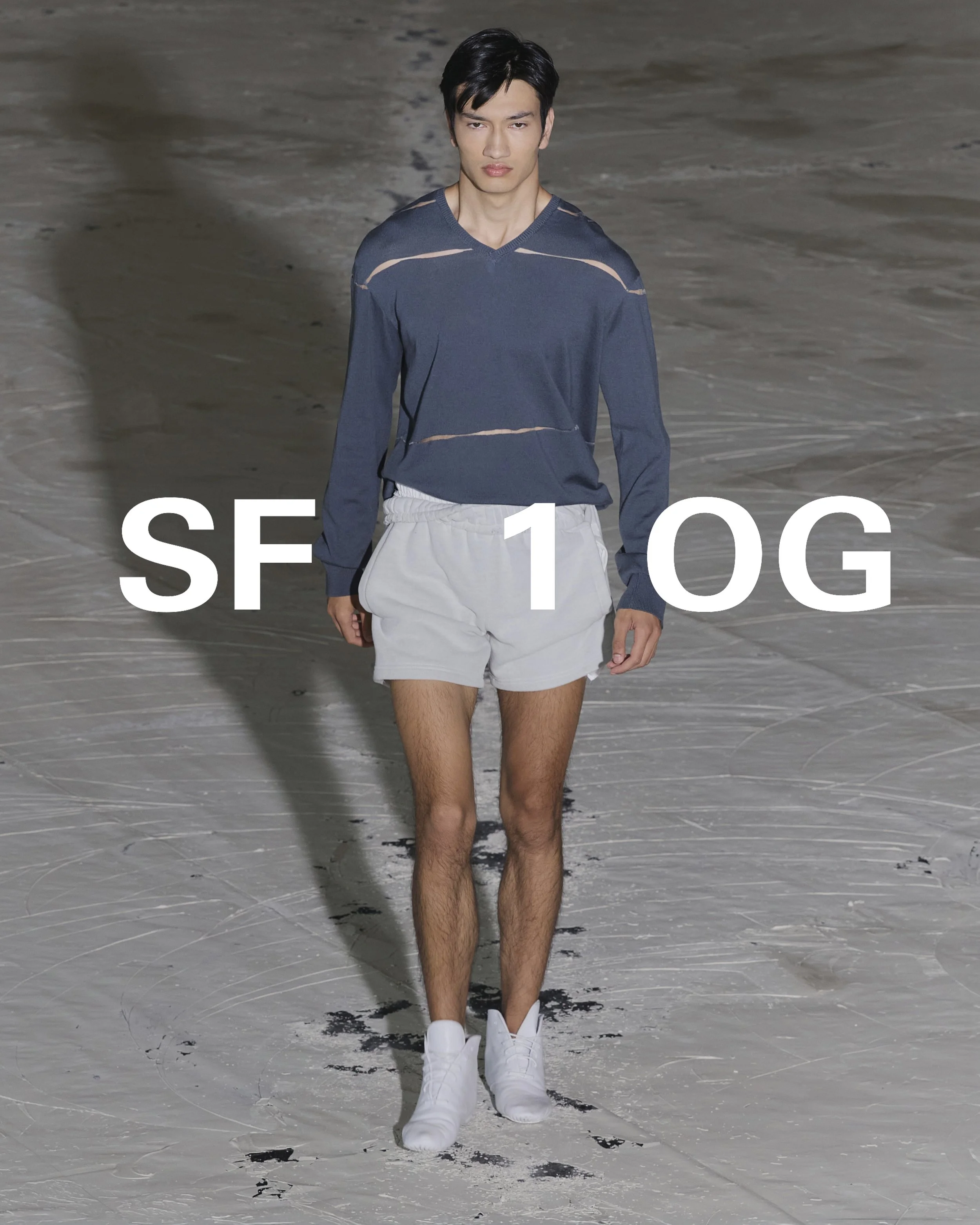 sf21.jpg