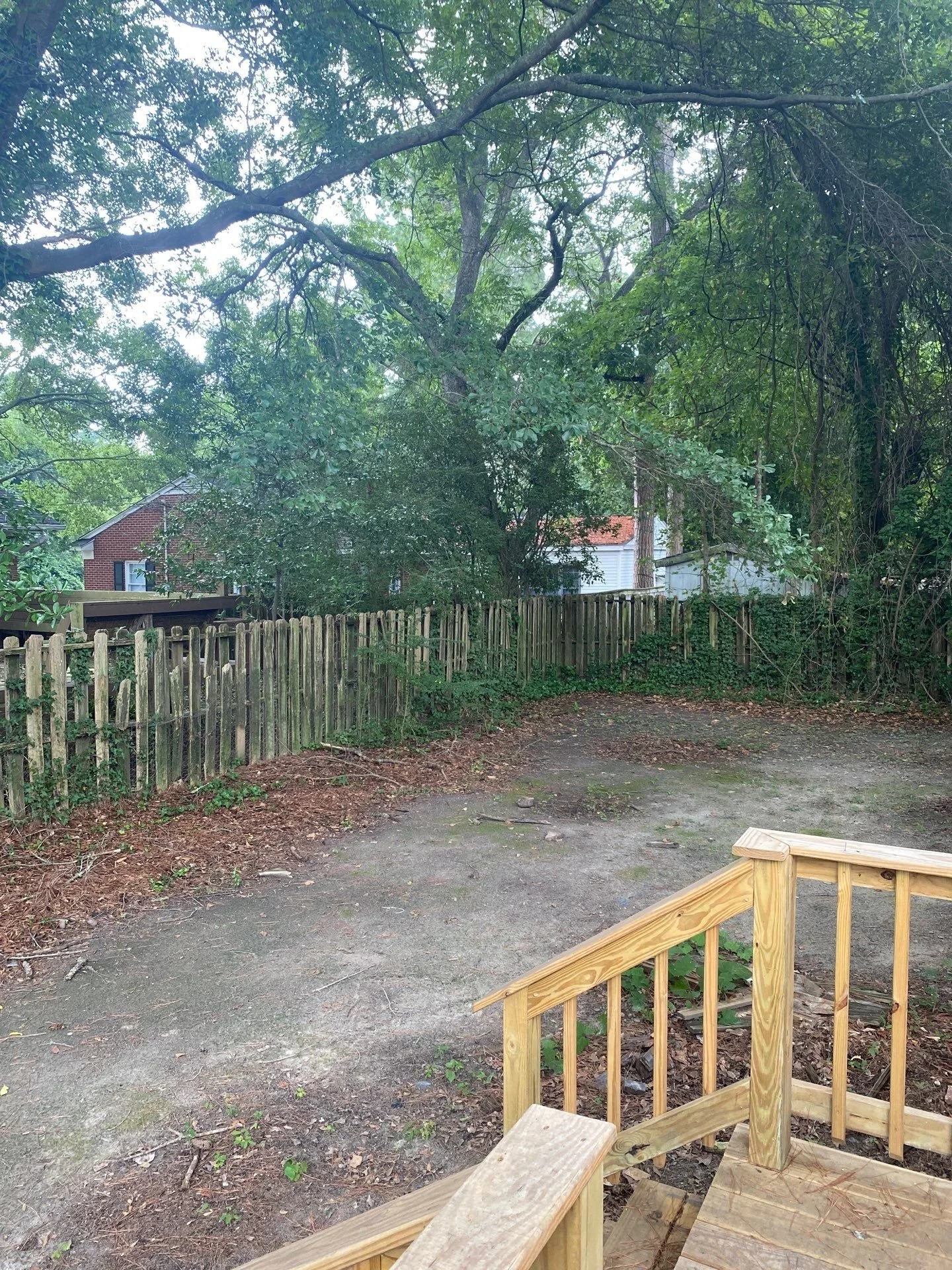 Backyard/ Porch
