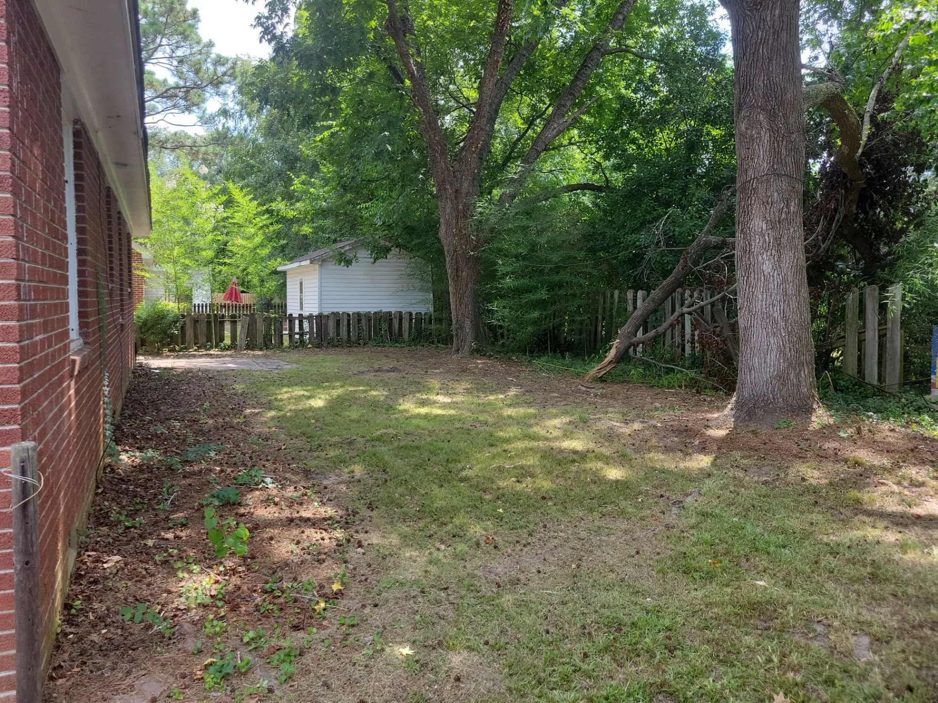 Backyard
