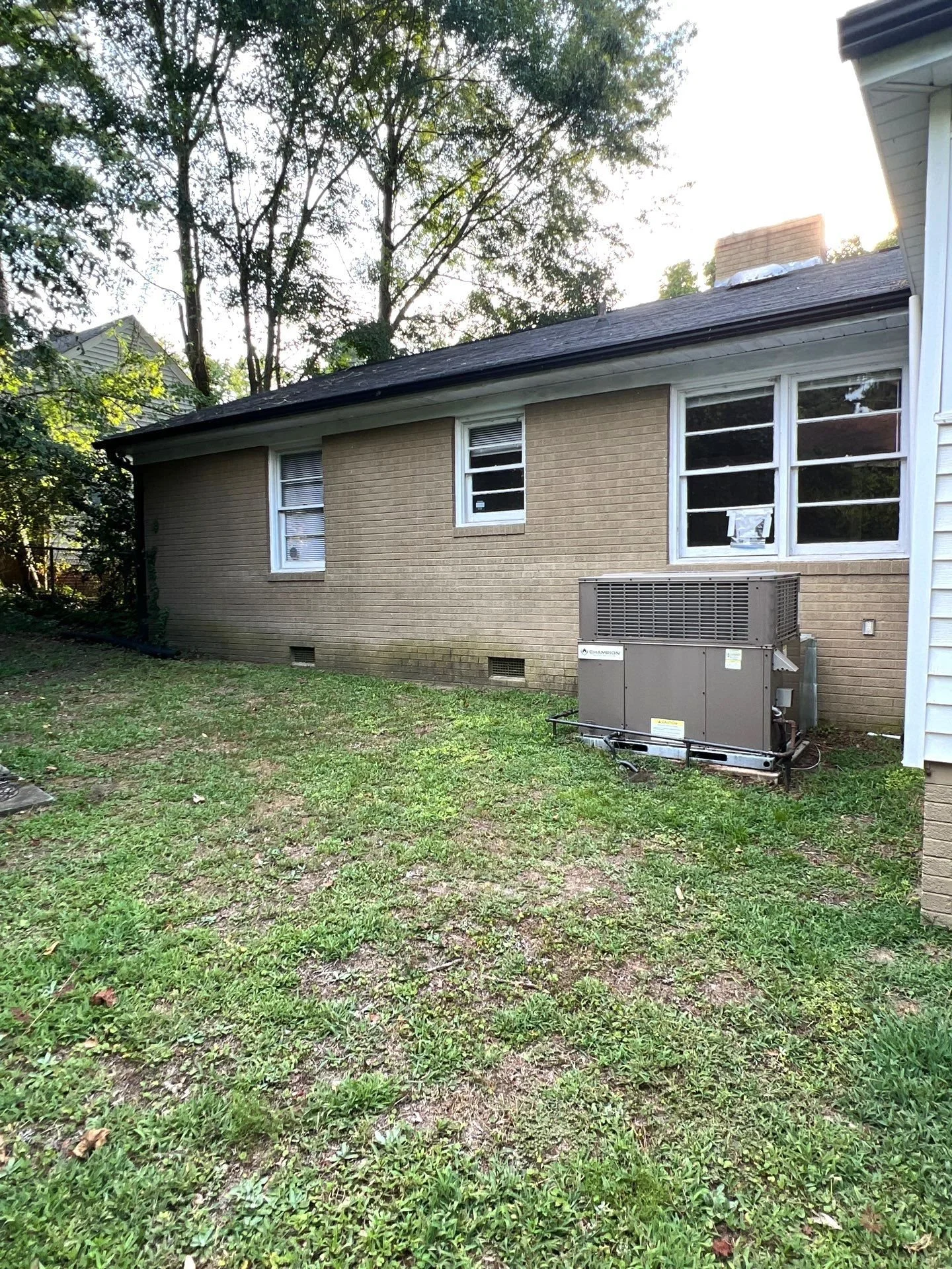 backyard2.jpg
