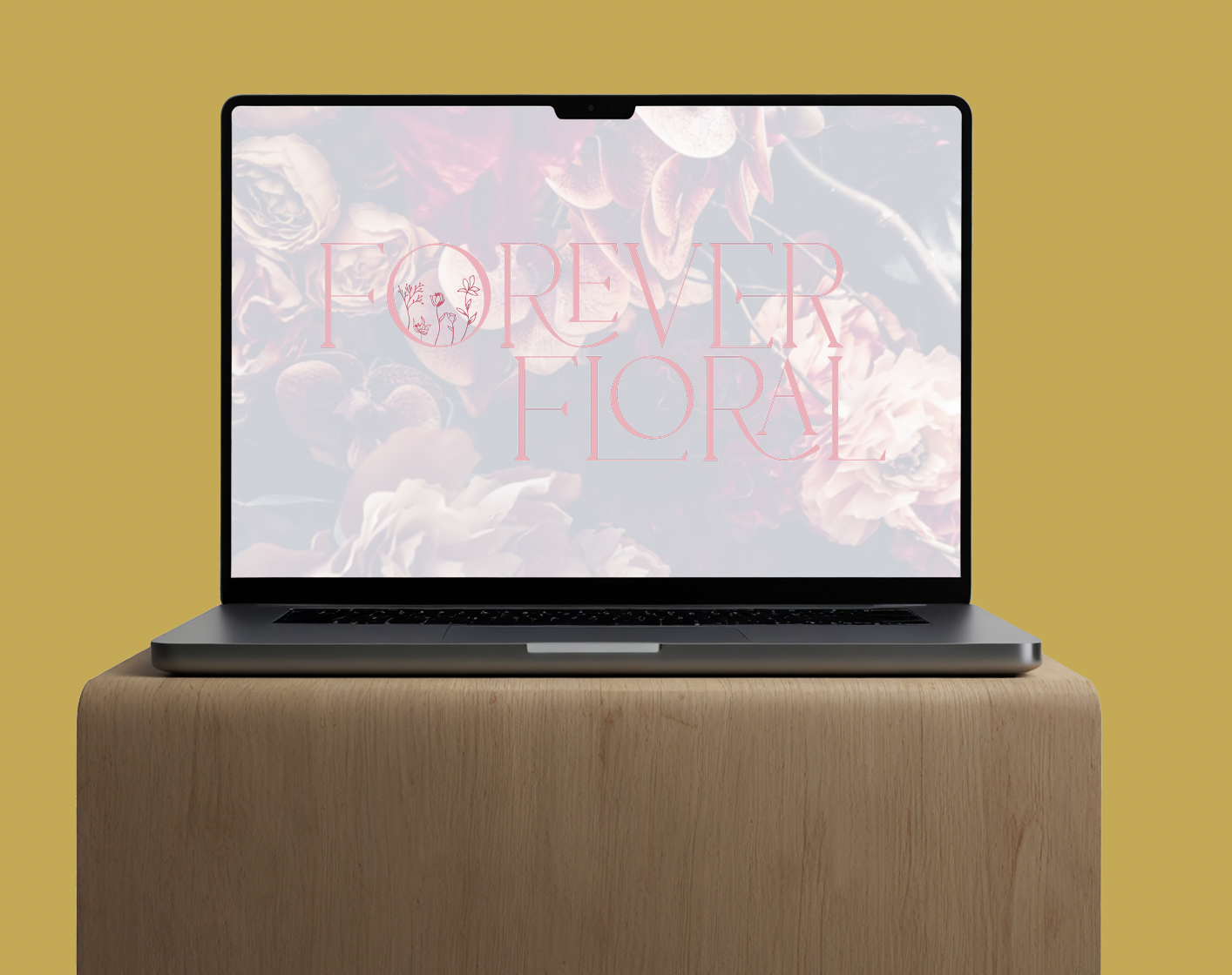 Screenshot 2025-02-12 at 5.30.15 PM.png