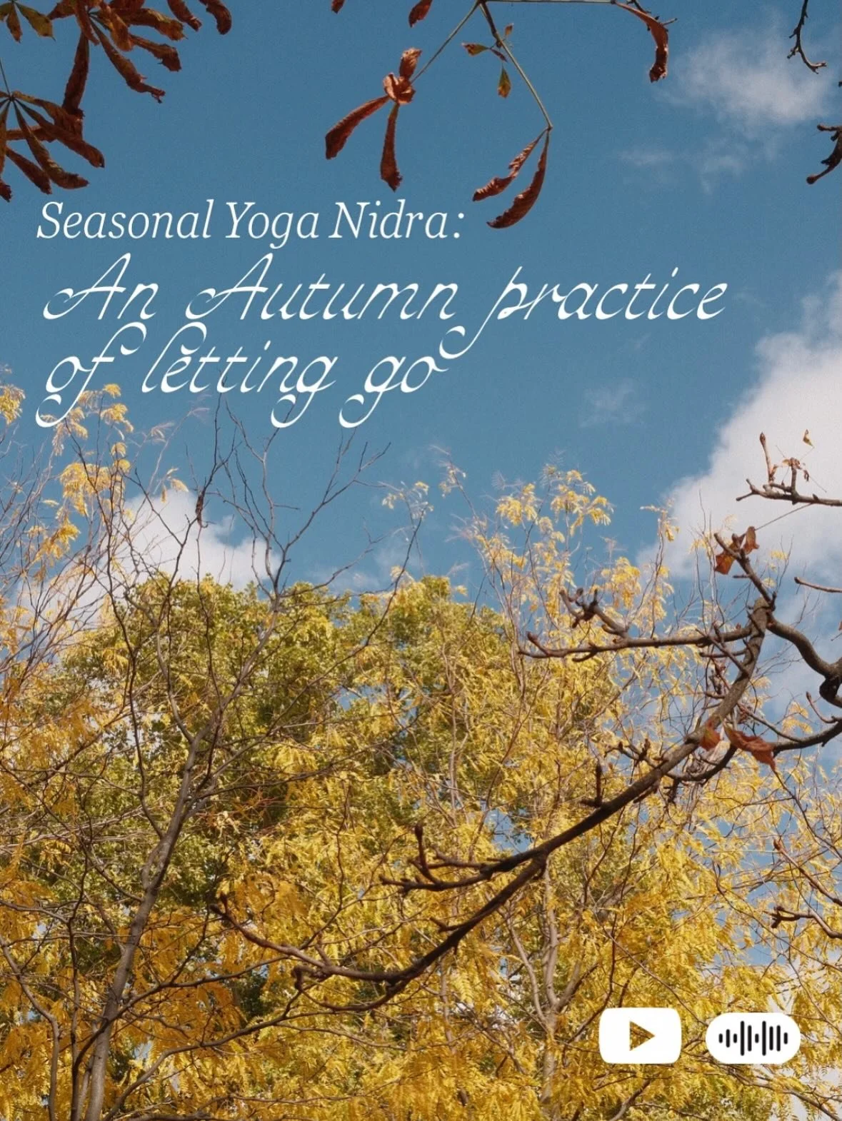 Seasonal Yoga Nidra: An Autumn Practice of Letting Go 🍂
A 30 minute guided Yoga Nidra to support you through the energy of autumn, the season of release.

Yoga Nidra is &ldquo;yogic sleep&rdquo;, a deeply restful practice done lying down where the b