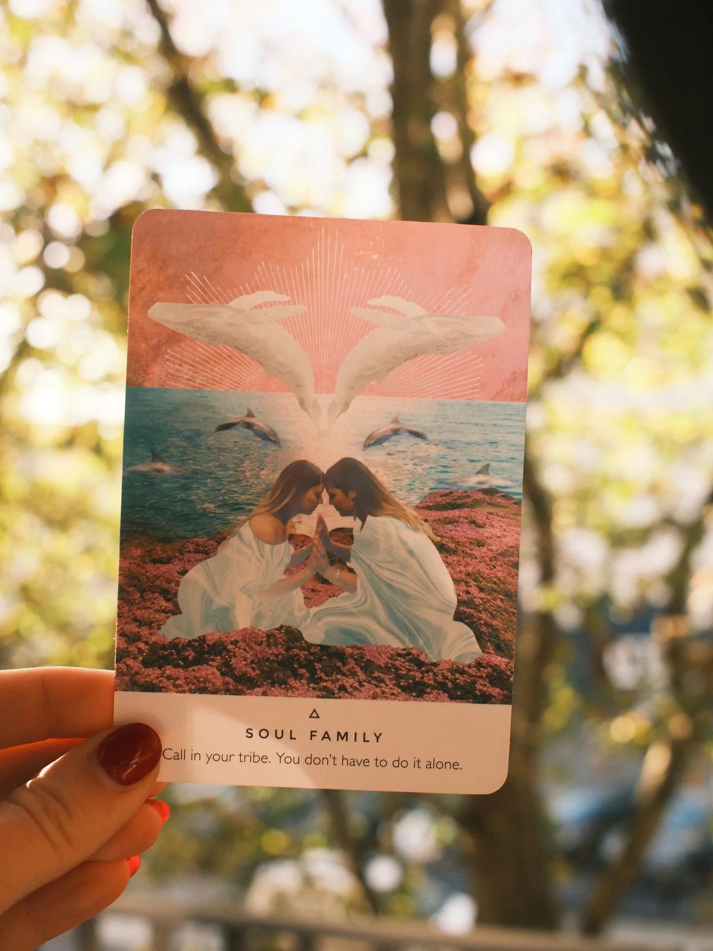 Card of the week 🧚&zwj;♂️ Soul Family

This week is a reminder that you are not meant to walk your path alone. There are people who feel like recognition, safety and softness waiting to meet you. Some are already here. Some are on their way. Let you