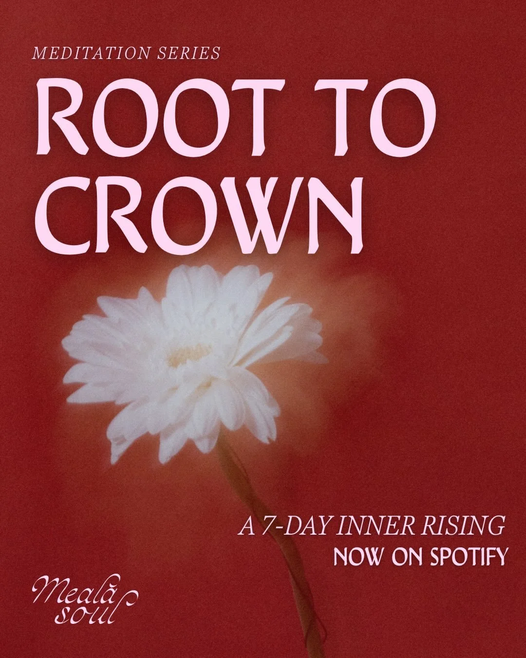 🌹 Root to Crown is live 🌹
Seven days. Seven centres. A gentle inner rising.

If you want to begin on Monday, take one meditation each morning to ground, soften, awaken and expand your inner world.
You can also listen anytime your body asks for a pa