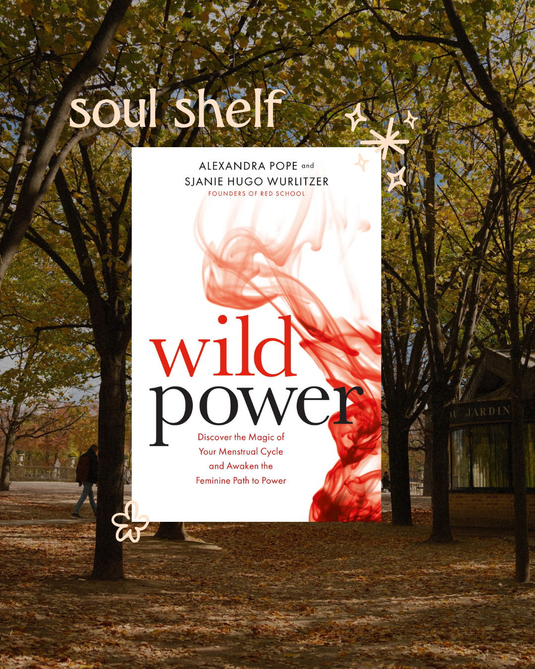 Soul Shelf: Wild Power