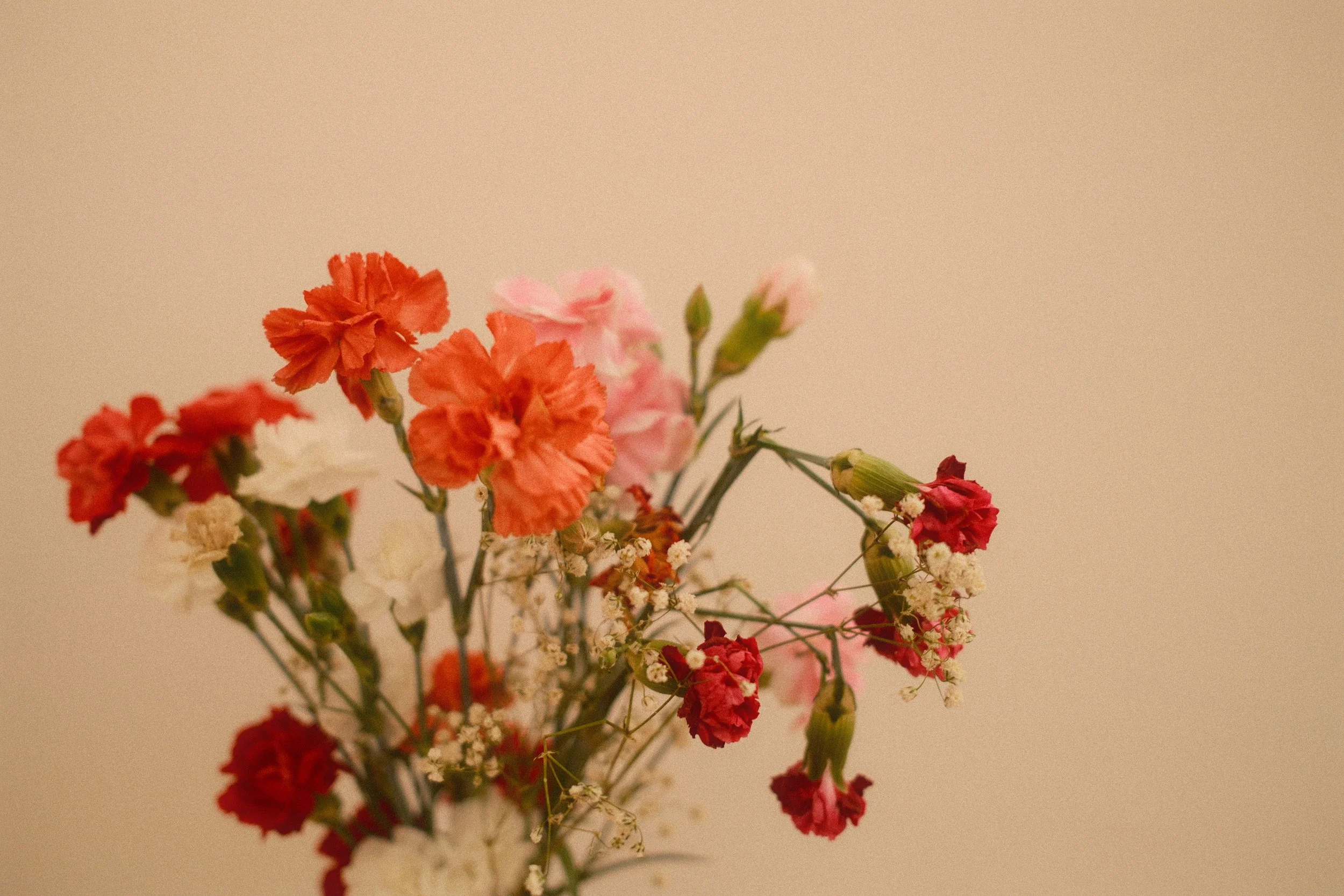 A bouquet of red, pink, and white carnations with small white filler flowers on a beige background.