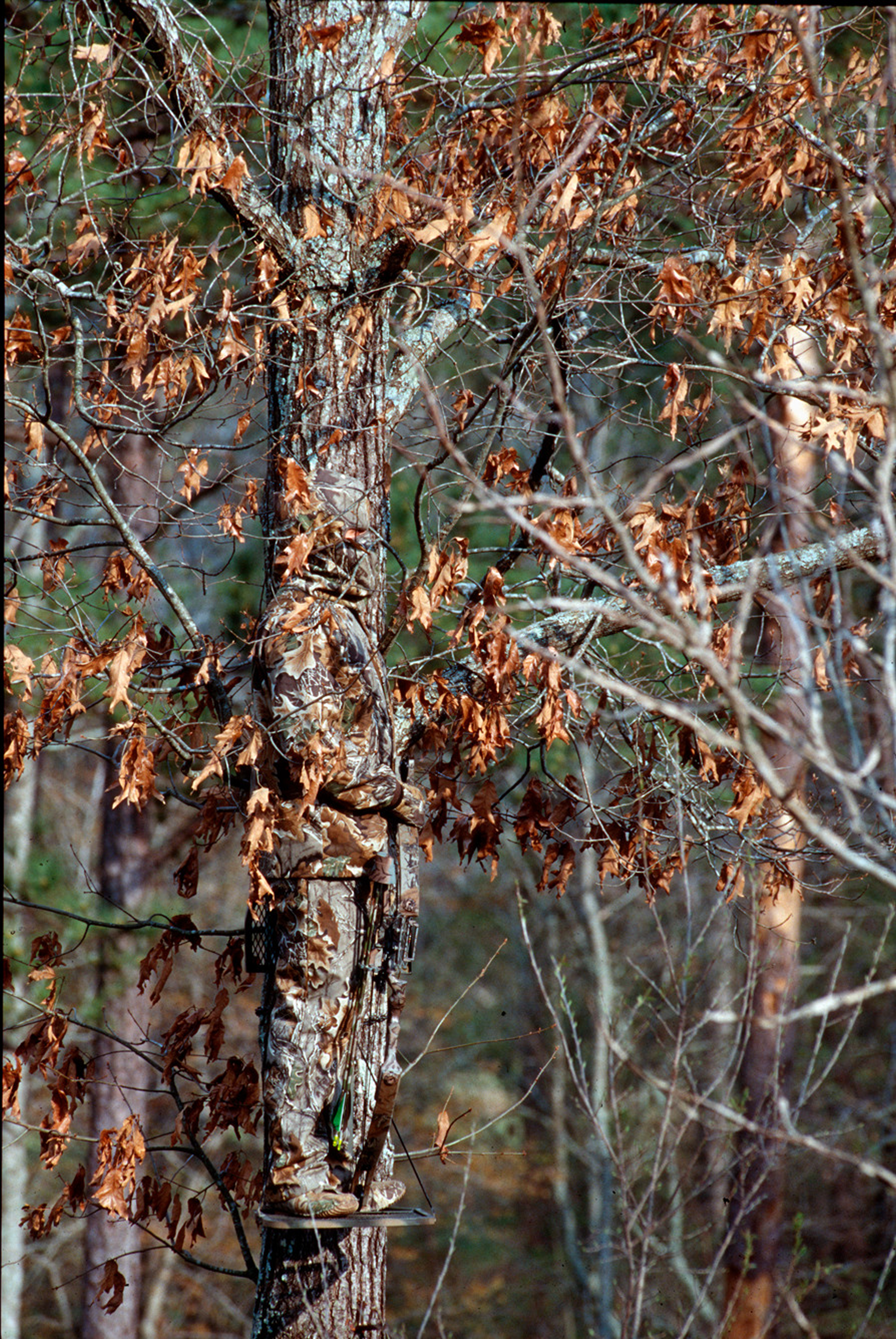 unspecified-2 9.45.42 AM.png