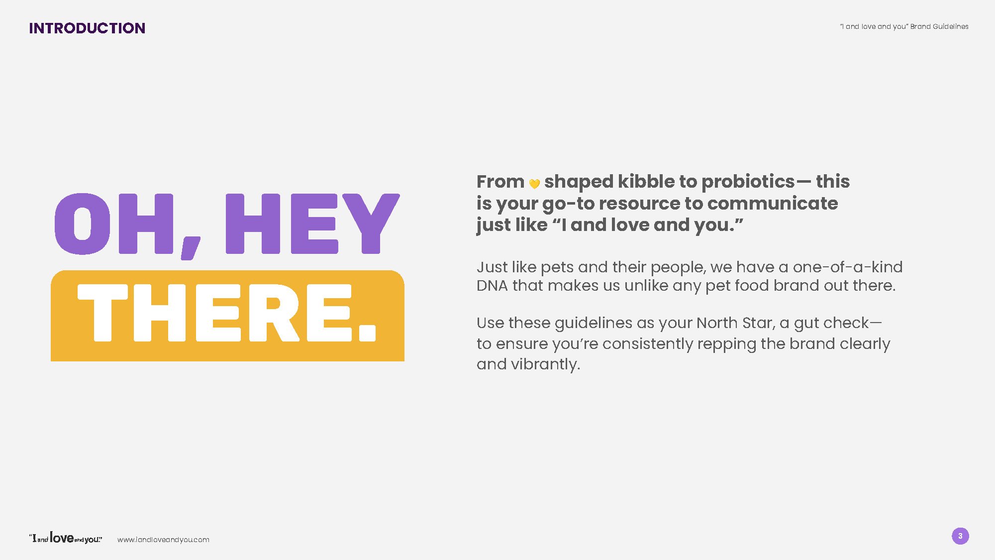 ILY Guidelines_2021_Page_03.jpg