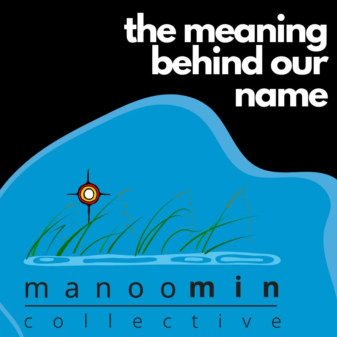 Our vision and mission is reflected in our name.

Manoomin is the Anishinaabemowin word for wild rice. Wild rice has the ability to reseed itself and grow continuously, ensuring that future stands of rice grow.

As an organization, we are a collectiv