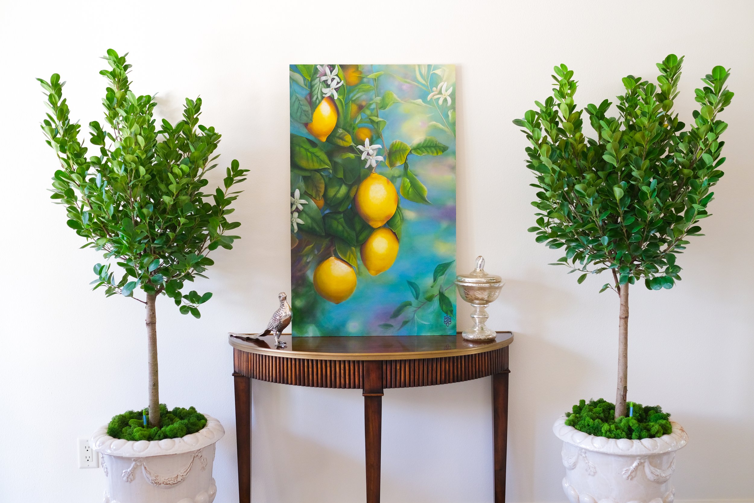 lemonlaunch_session1-29.jpg