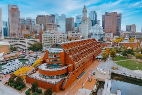 🌻 North Market Paws & Produce Pop-Up
