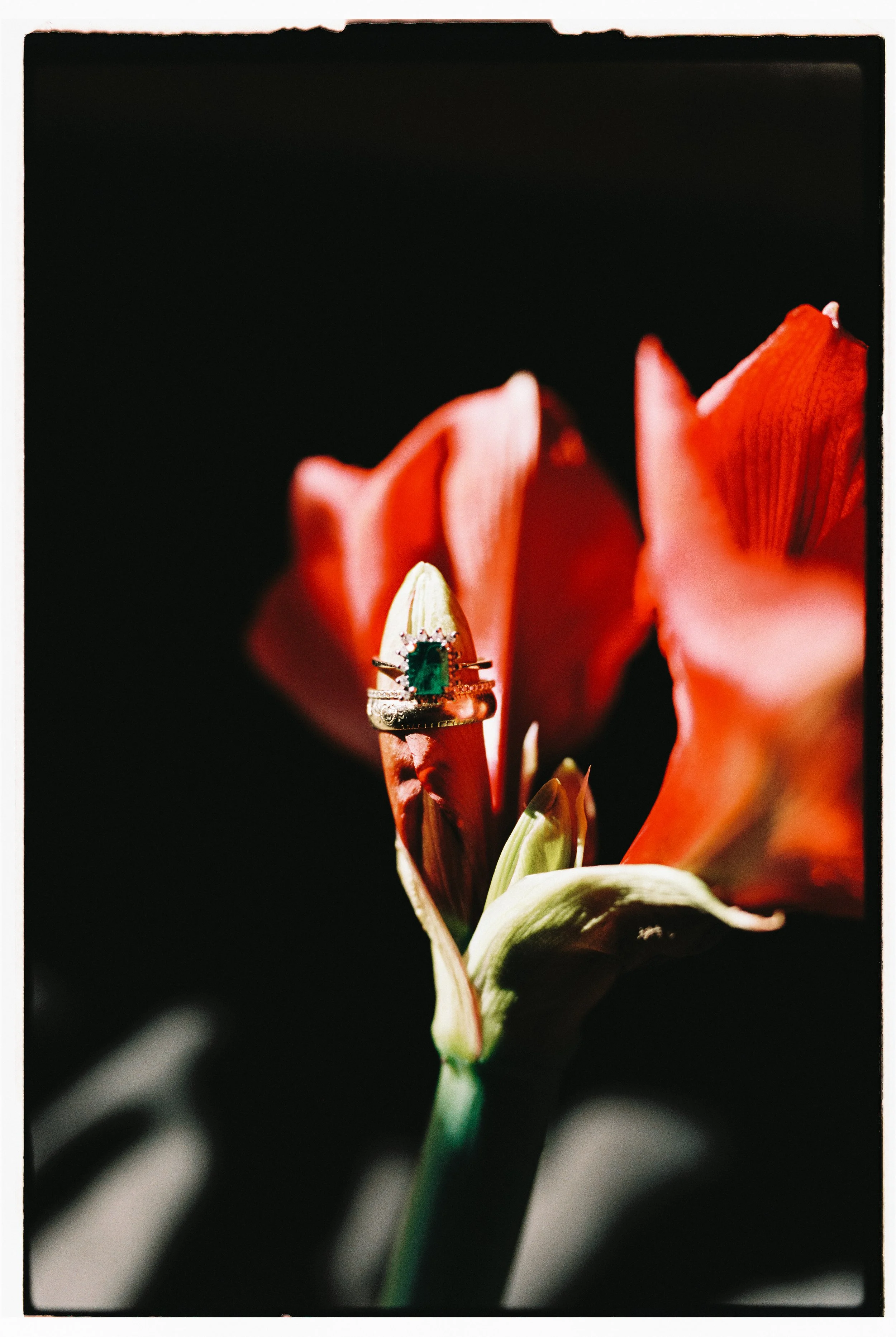 JW_2722_Portra 160_138225-R1-018-7A-2.JPG