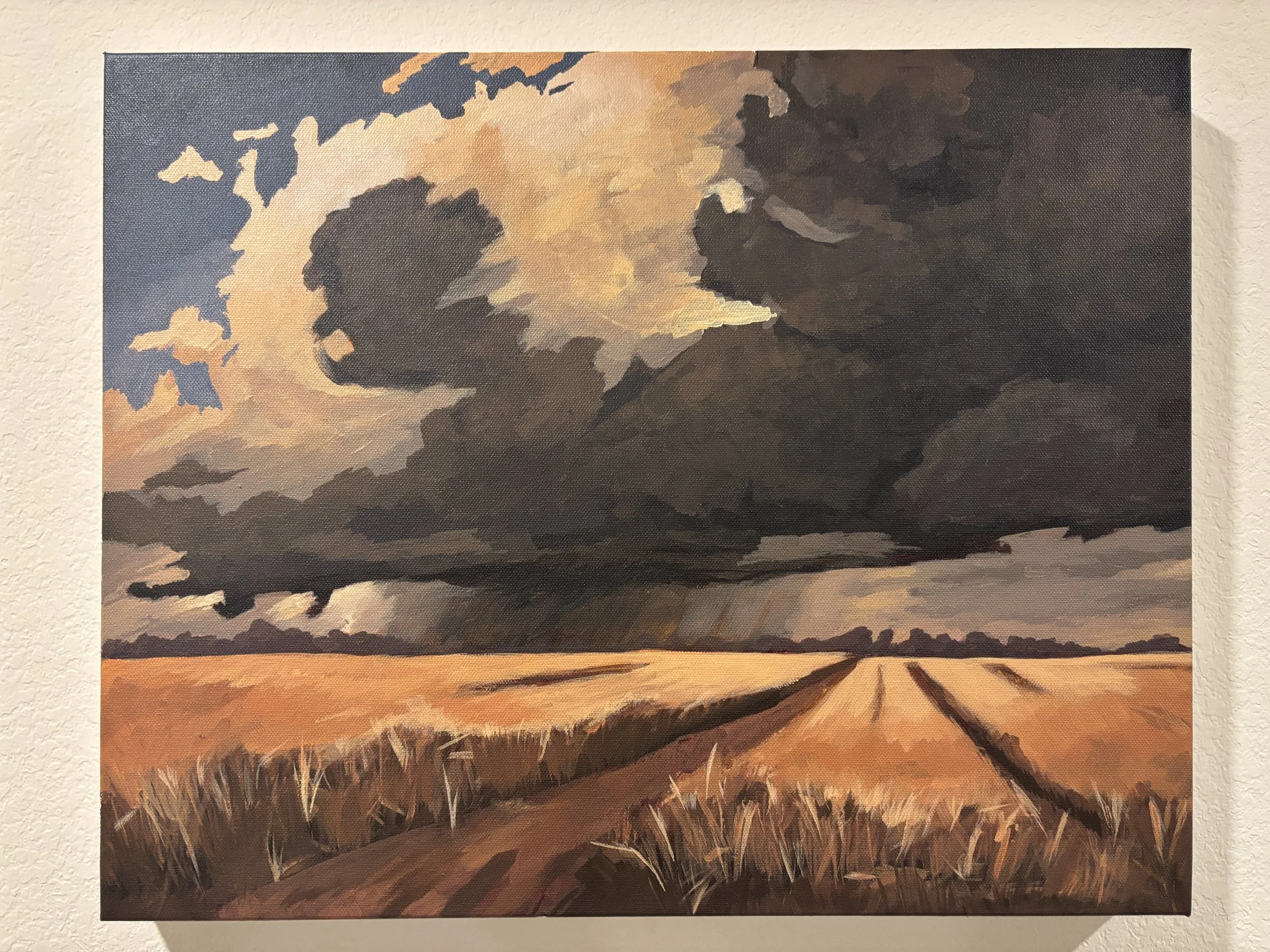  "Summer Storm" (after Jim Musil). 20x16"
Moody skies and golden fields wait in that electric stillness before the storm breaks.
*AVAILABLE - $320*