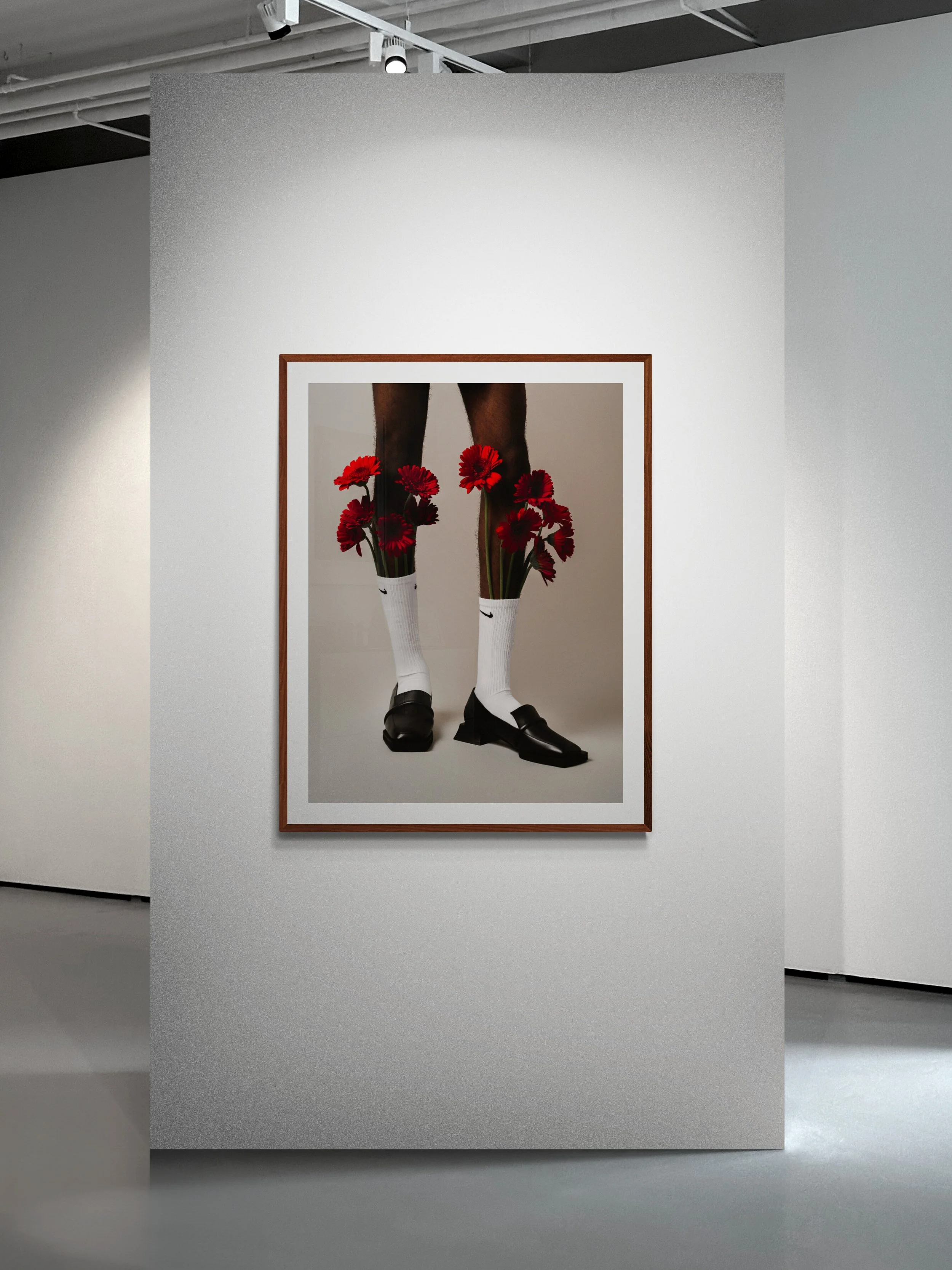 ton gomes gallery 1.jpg