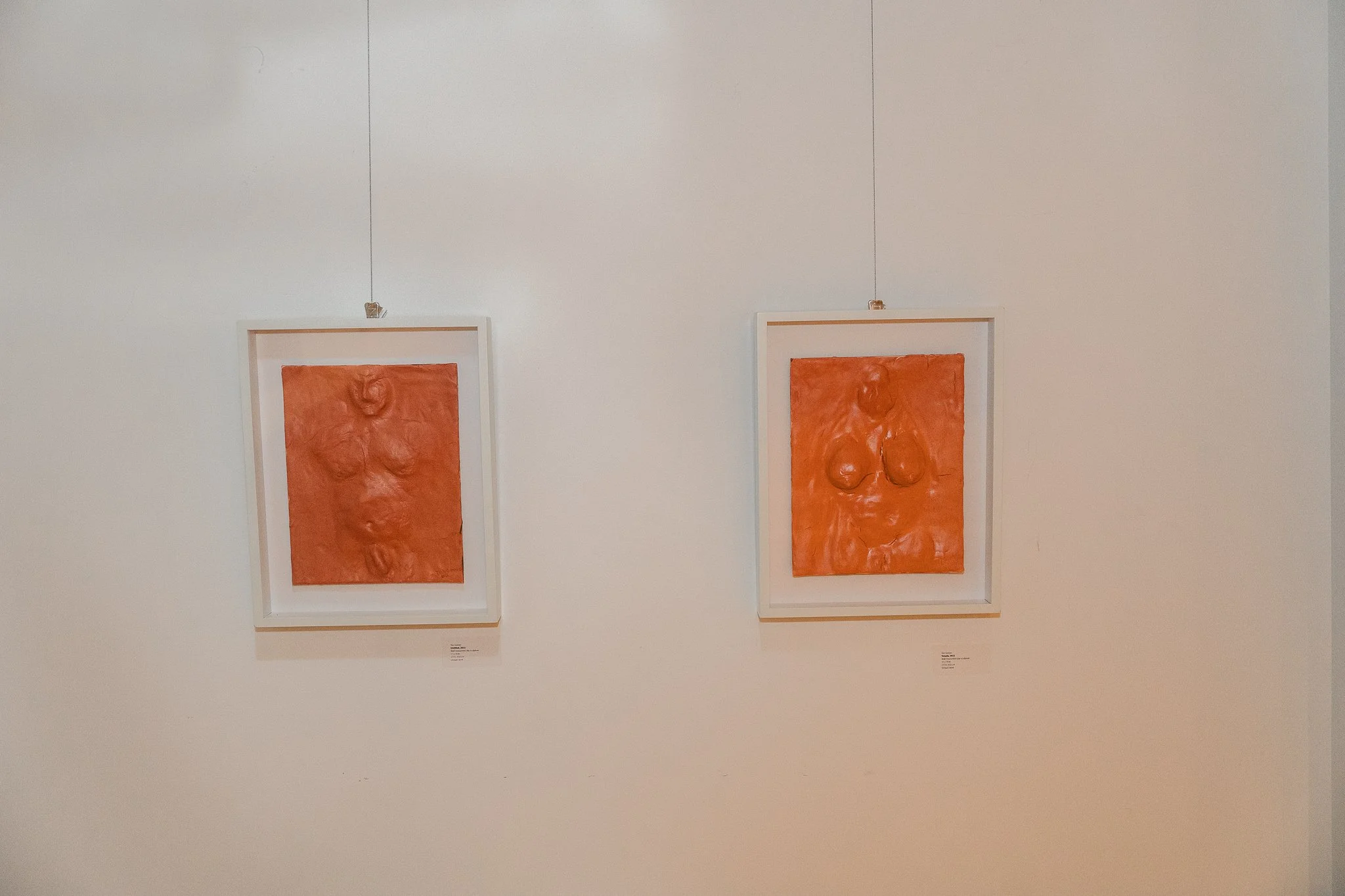 Ton Gomes Solo Exhibition at Casa Atelier Miami curated by Luiza Testa  - Copyright - Ton Gomes 2025-18.jpg