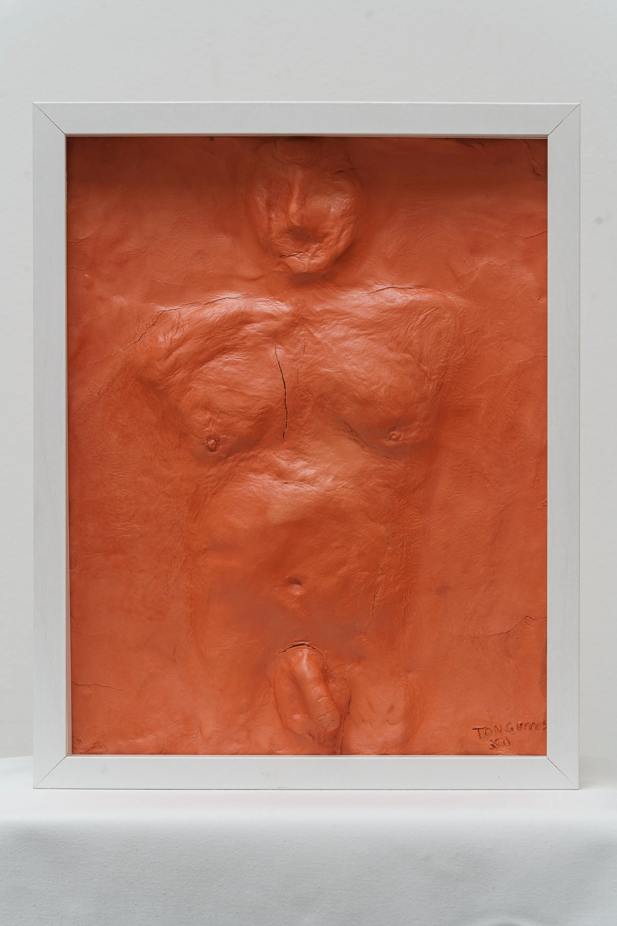 Untitled, 2022