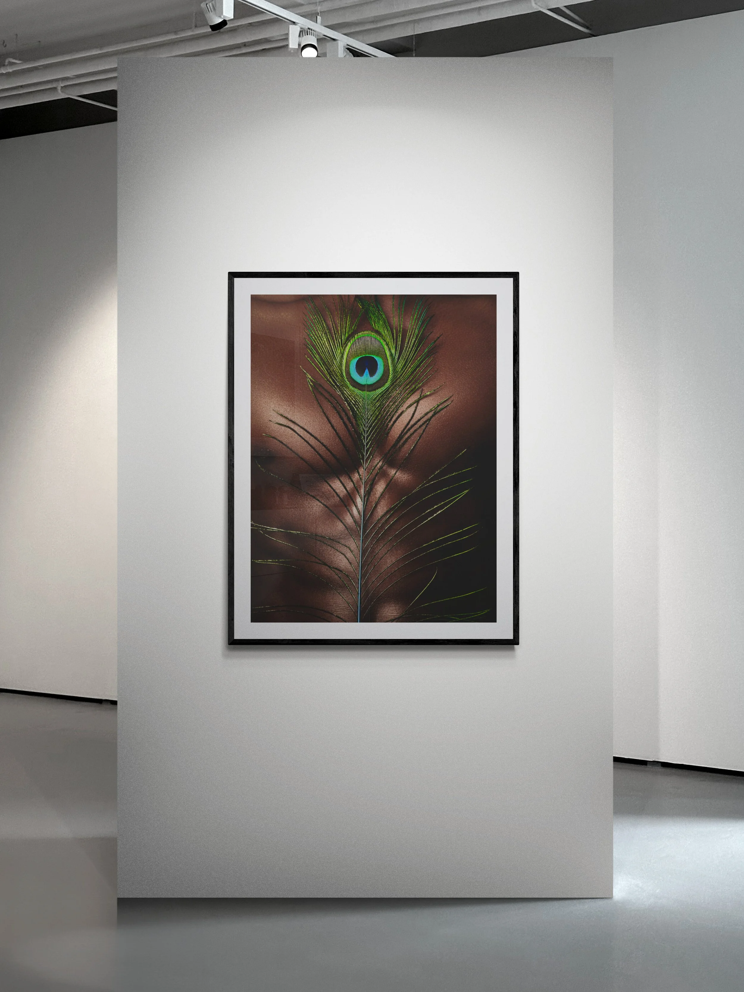art-gallery-wall---3-17.jpg