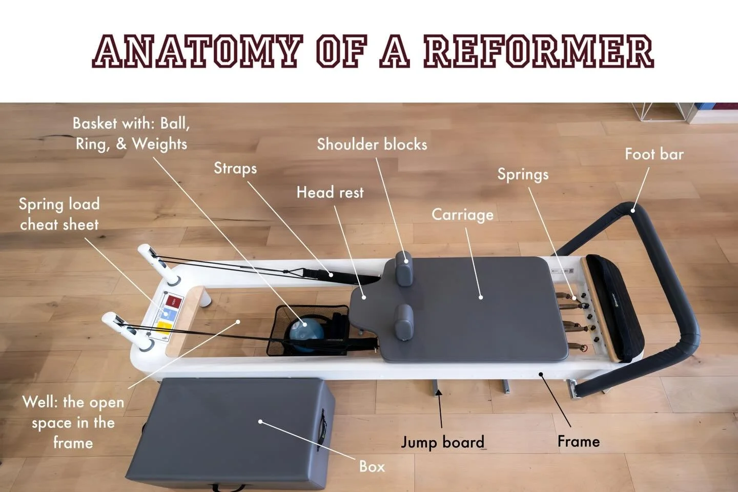 Let&rsquo;s make the reformer feel a little more friendly ✨
This is the anatomy of our reformer&mdash;every strap, spring, and prop explained so you can walk into class feeling confident and supported.
Knowledge builds comfort. Comfort builds confide