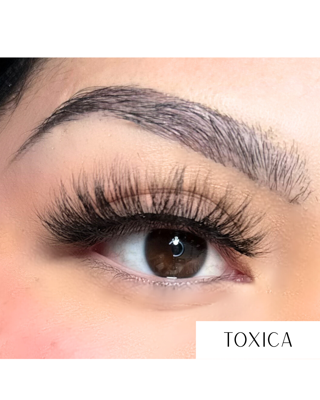 TOXICA
