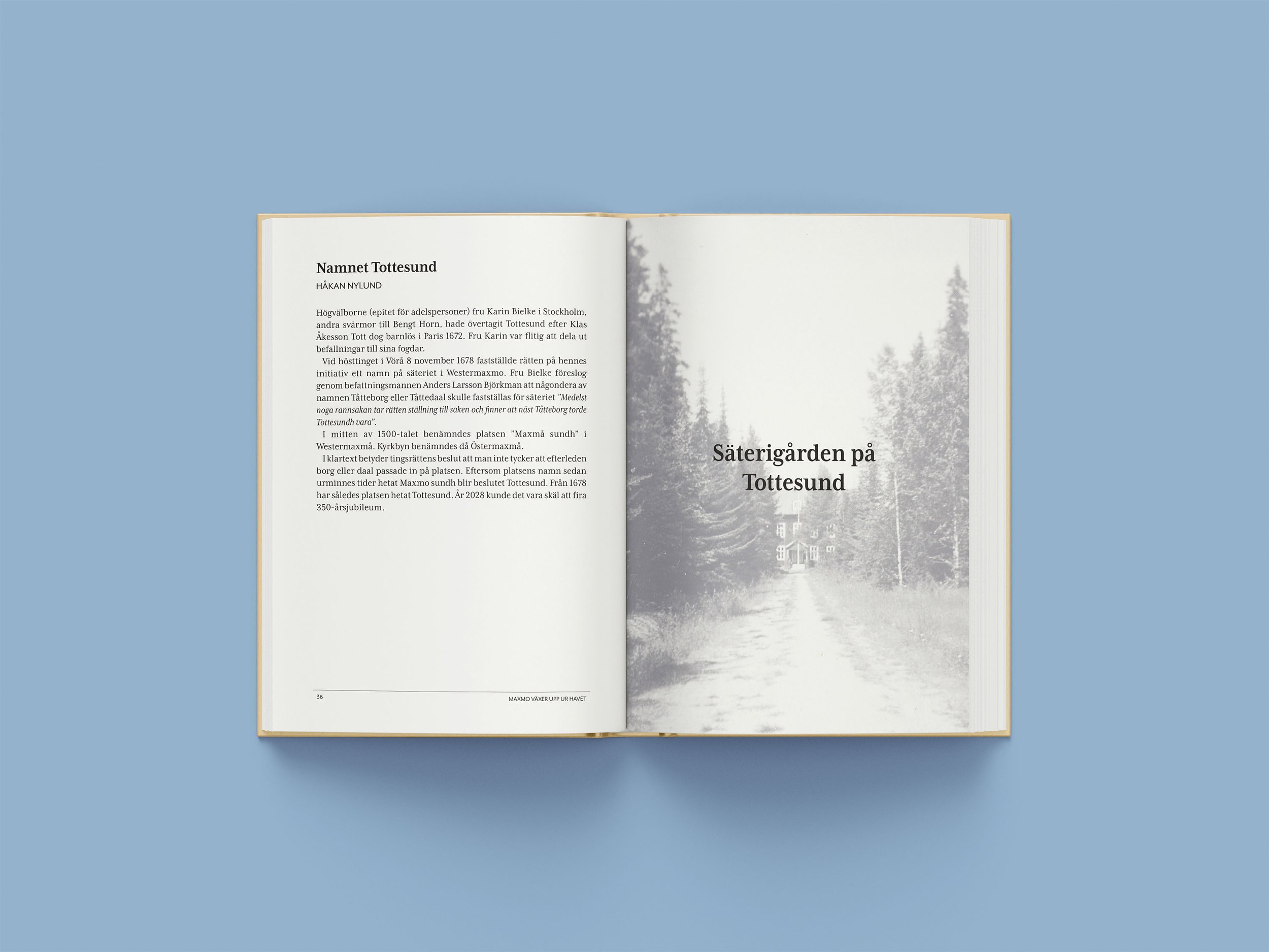 Tottesund: herrgårdsliv och vardagsslit kapitelindelning