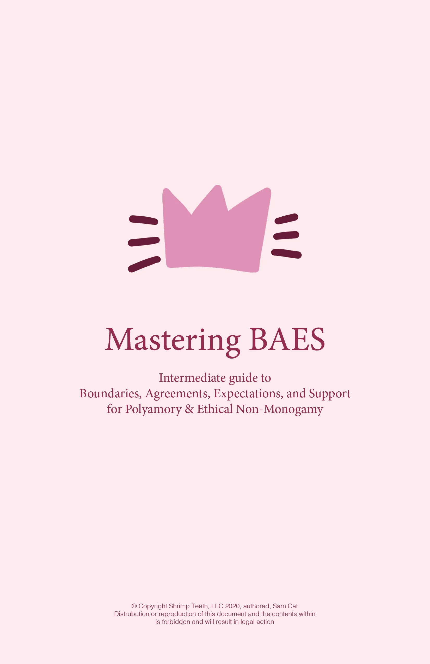 Boundaries, Agreements, Expectations, and Support (Mastering BAES)