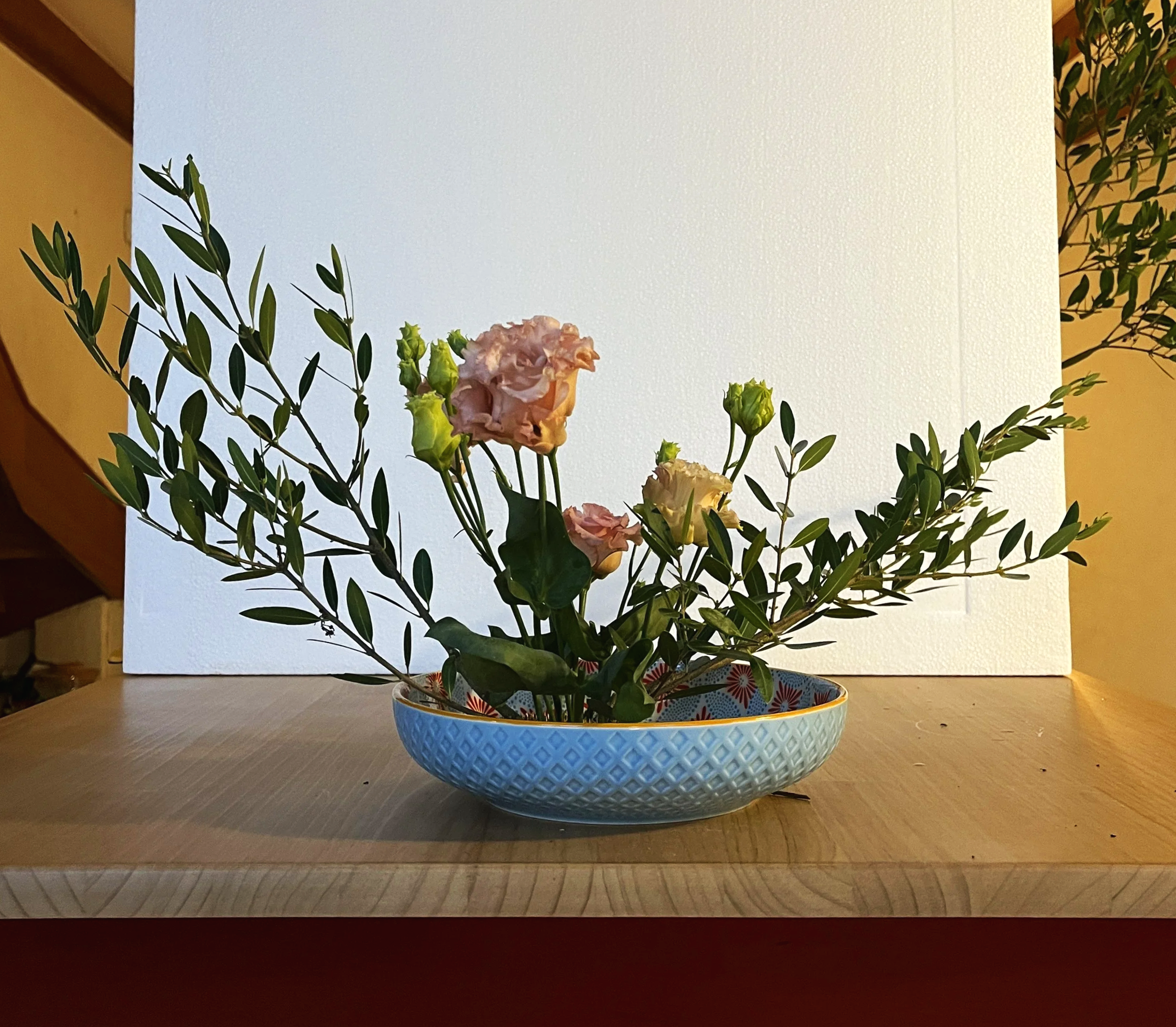 IMG_3195.png