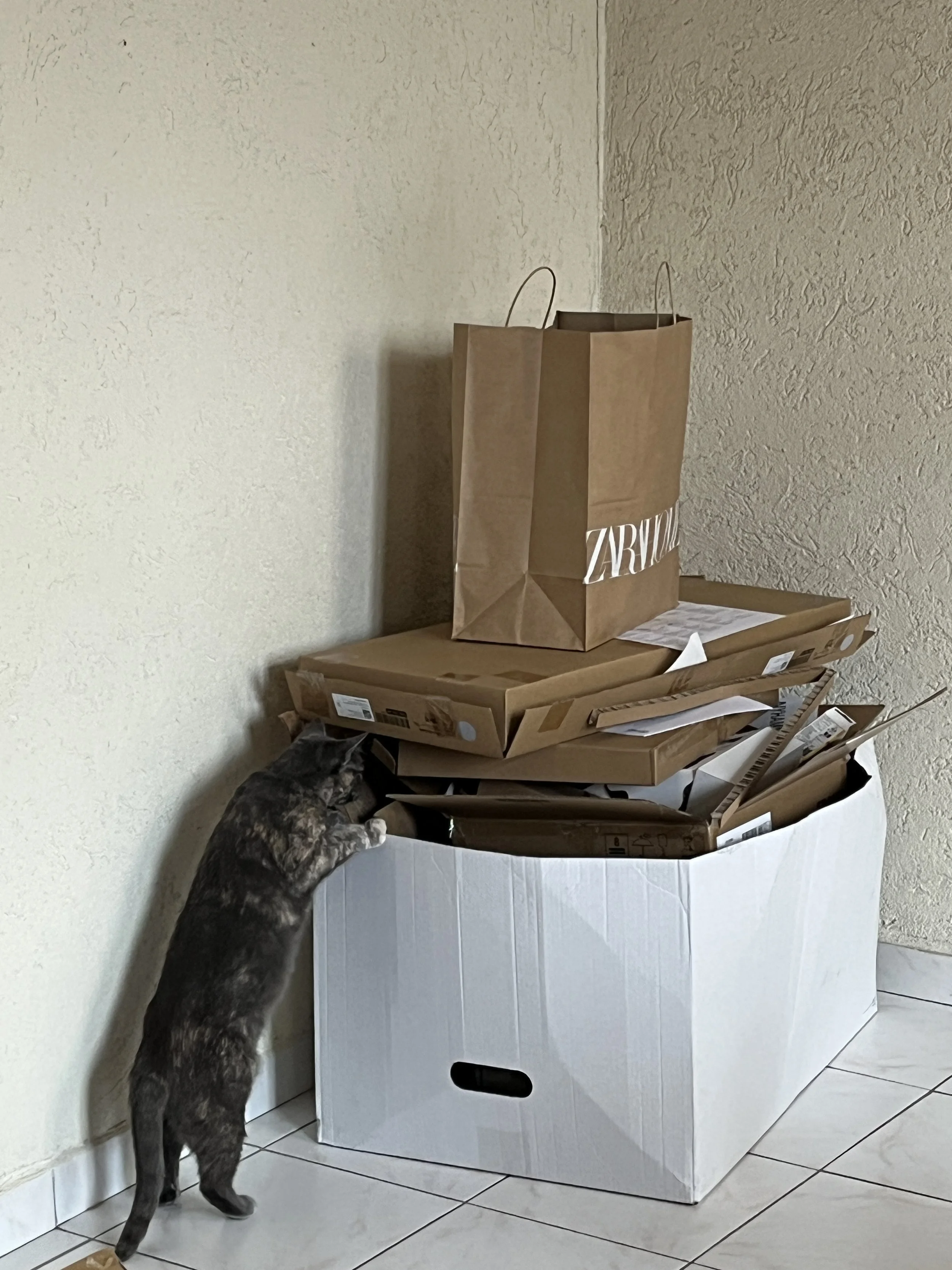 Painting/Recycling