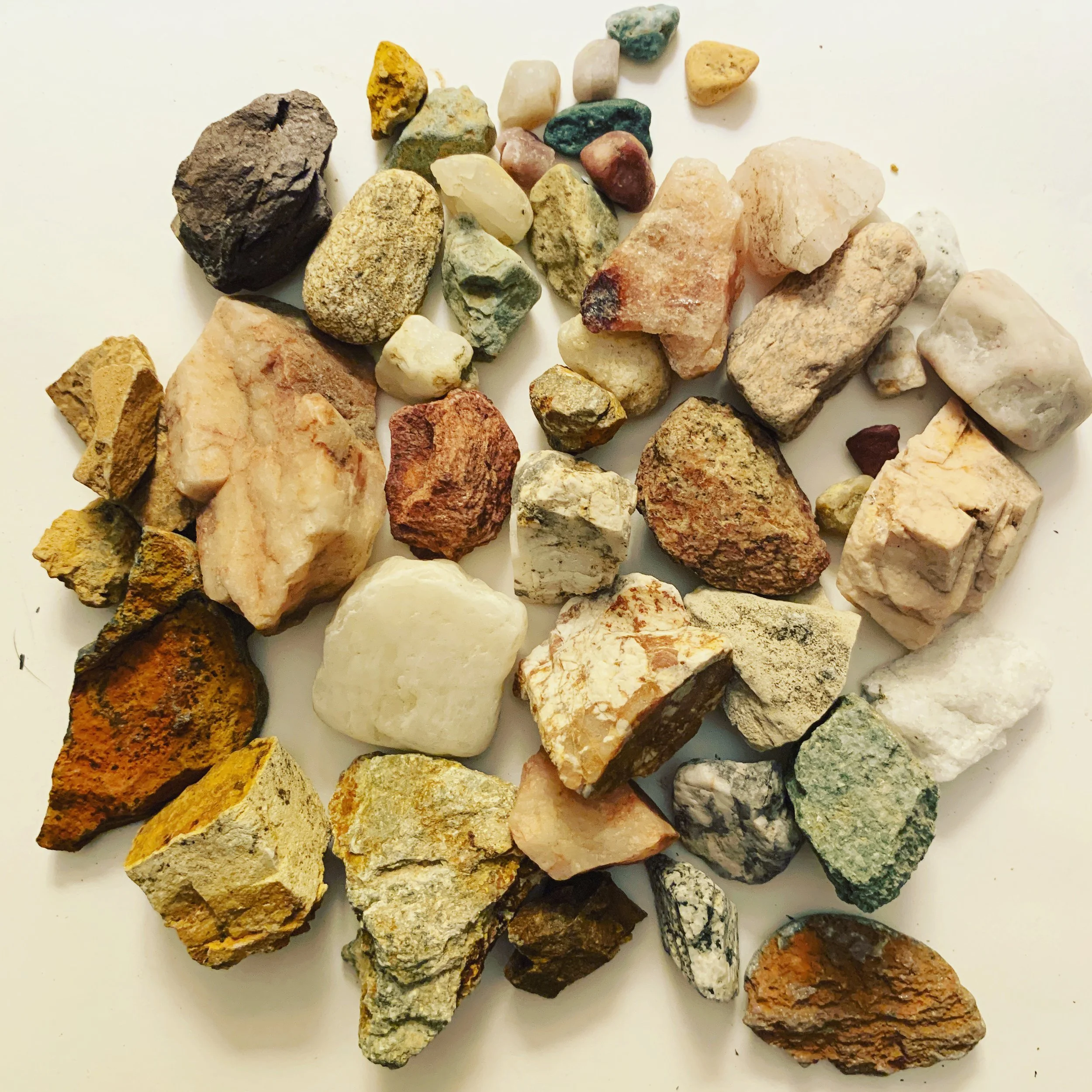Passion For Collection