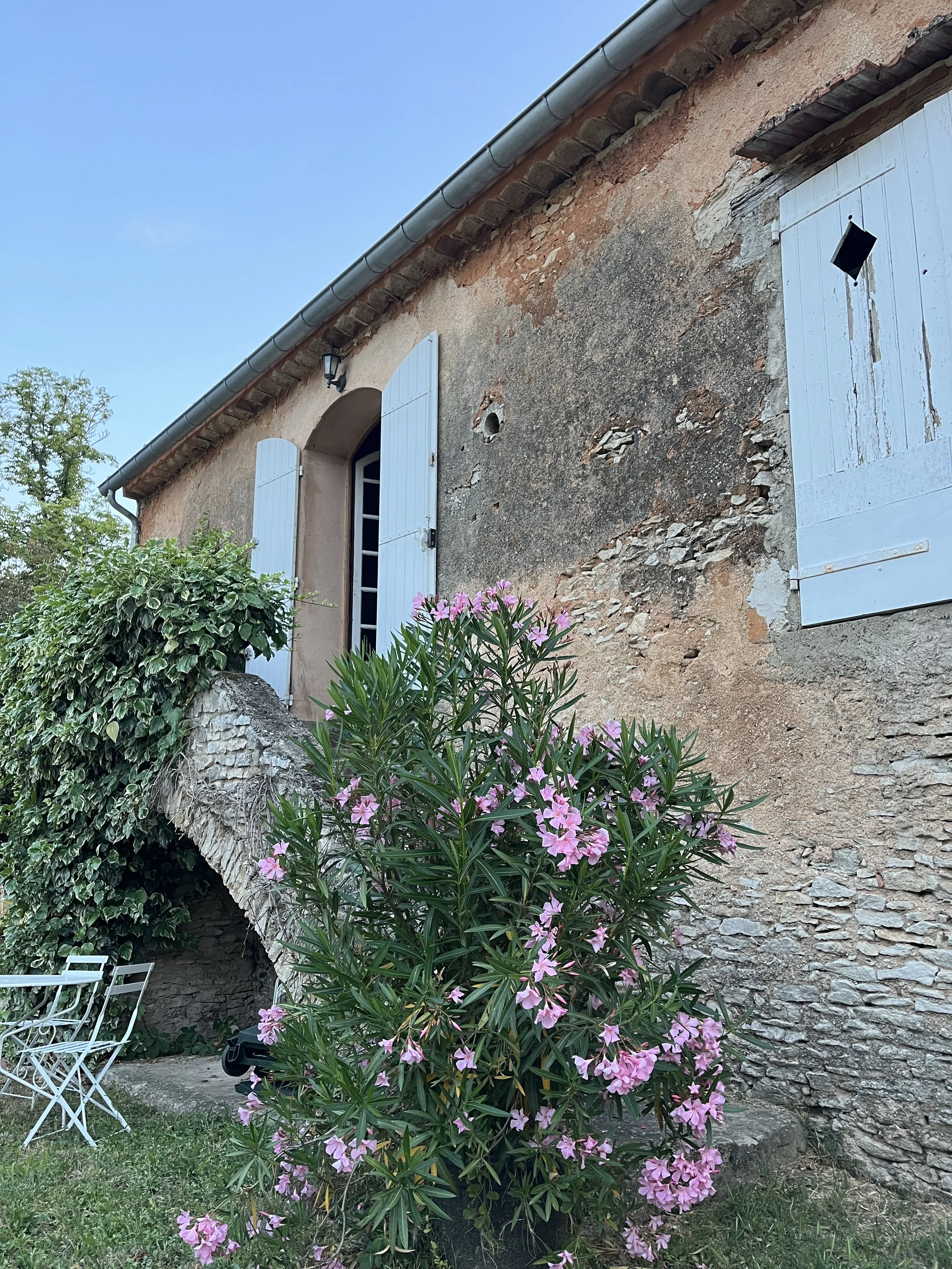 Ikebana Provence-Style
