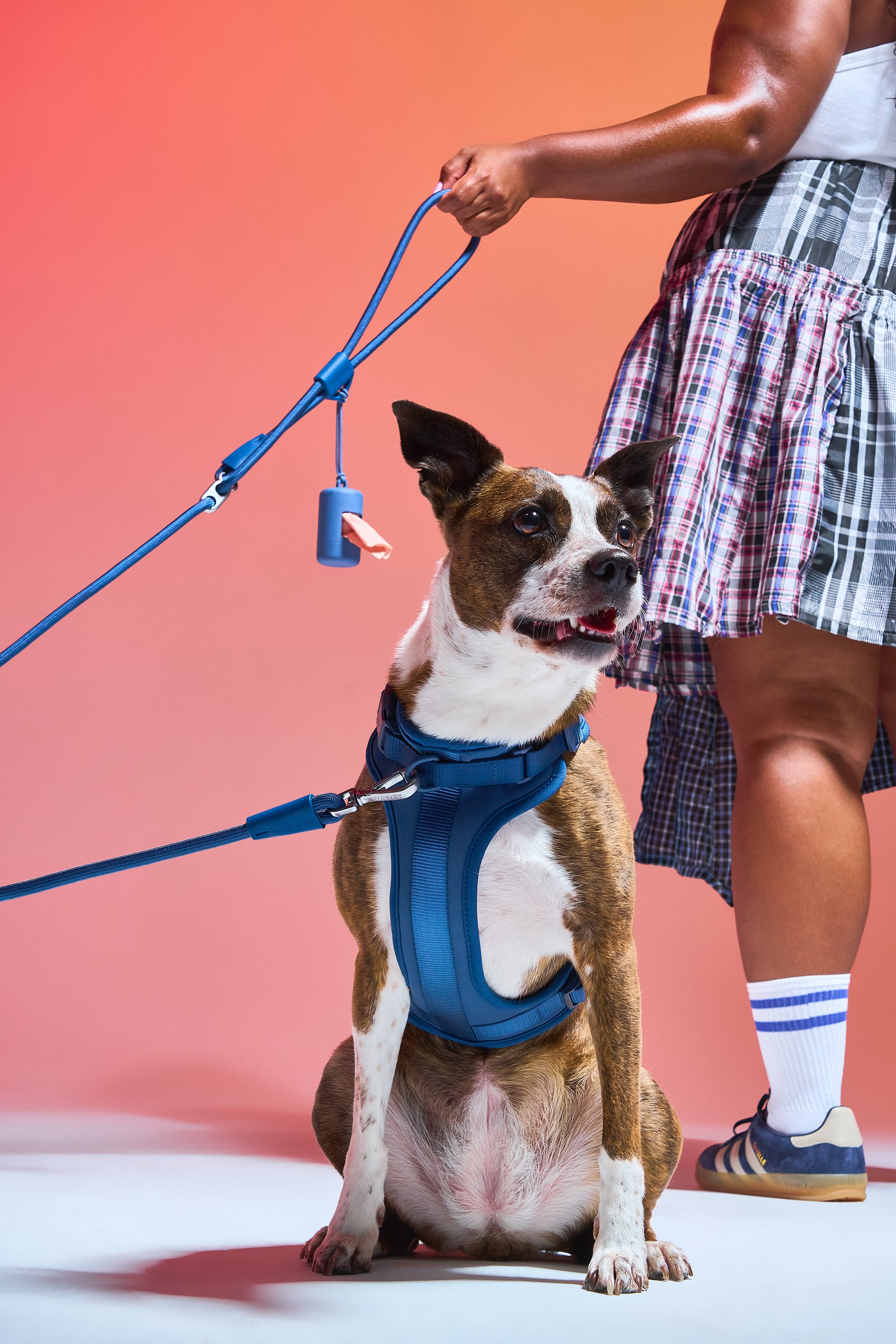 WO_VM_RopeLeash_WalkKitHarness_Navy_RopeLeashCampaign_01_2x3_Web.jpg