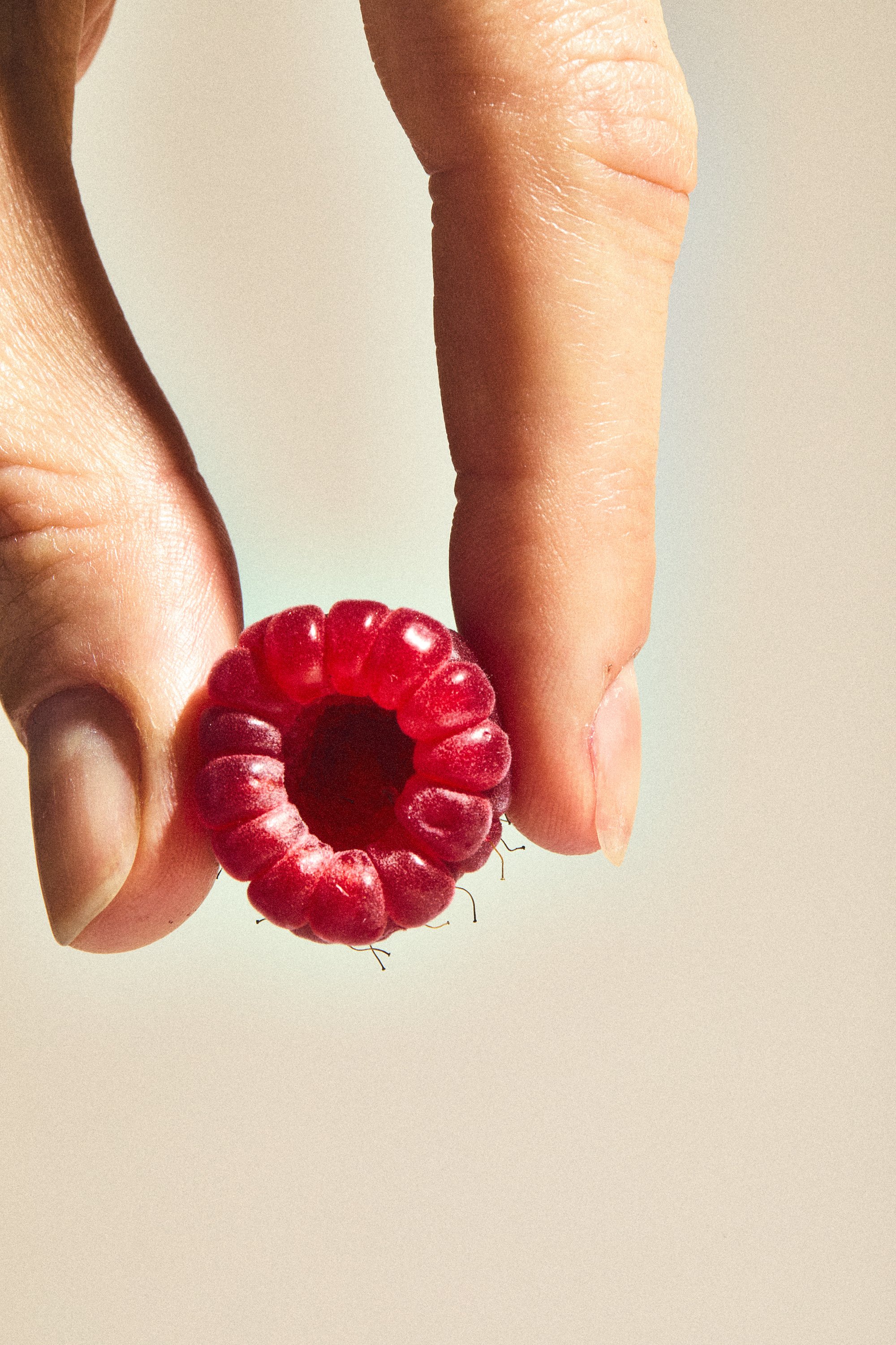 WP_VM_Raspberry_WorldBuilding_MacroFood_03_2x3_Web.jpg