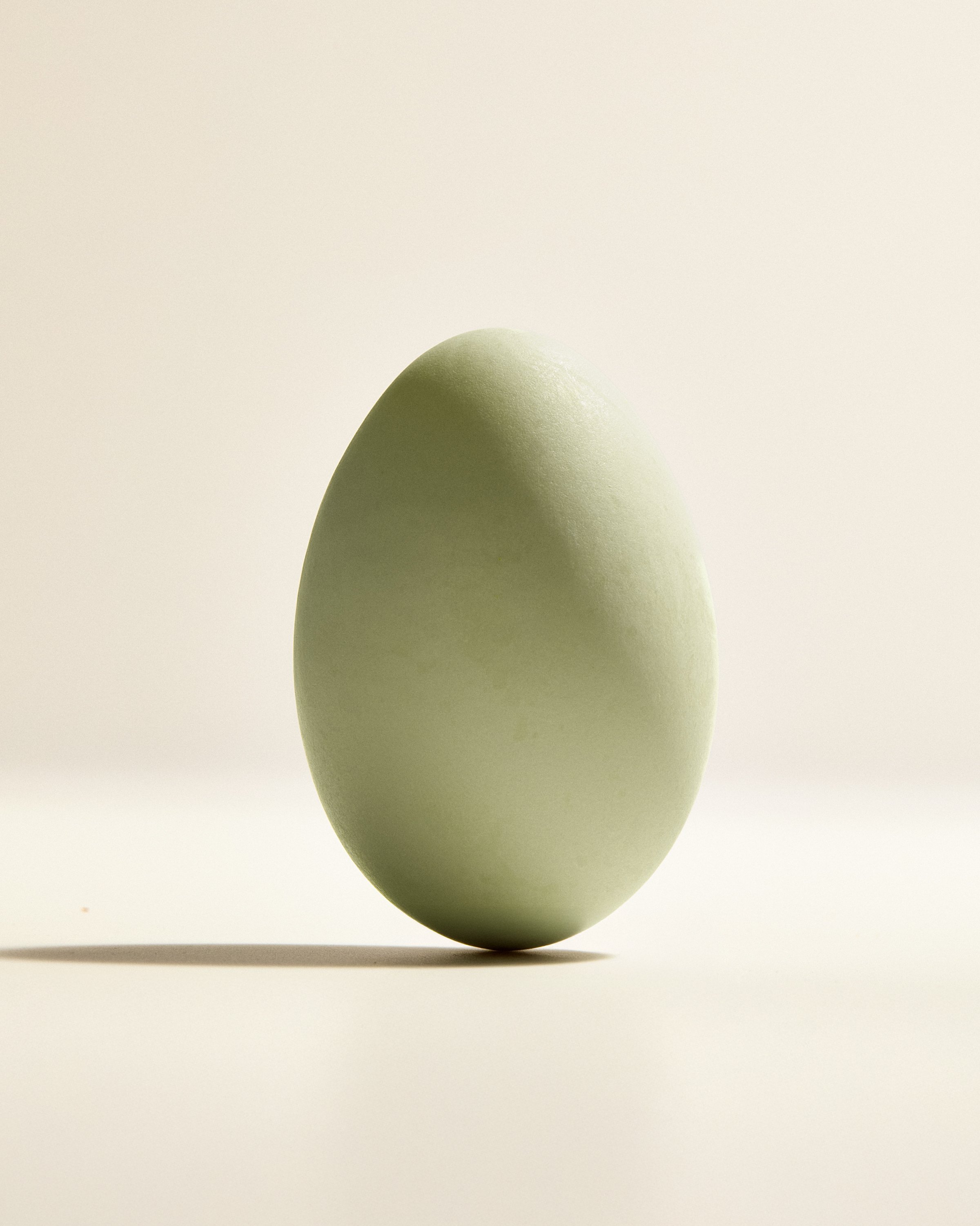 WP_VM_Egg_WorldBuilding_MacroFood_01_4x5_Web.jpg