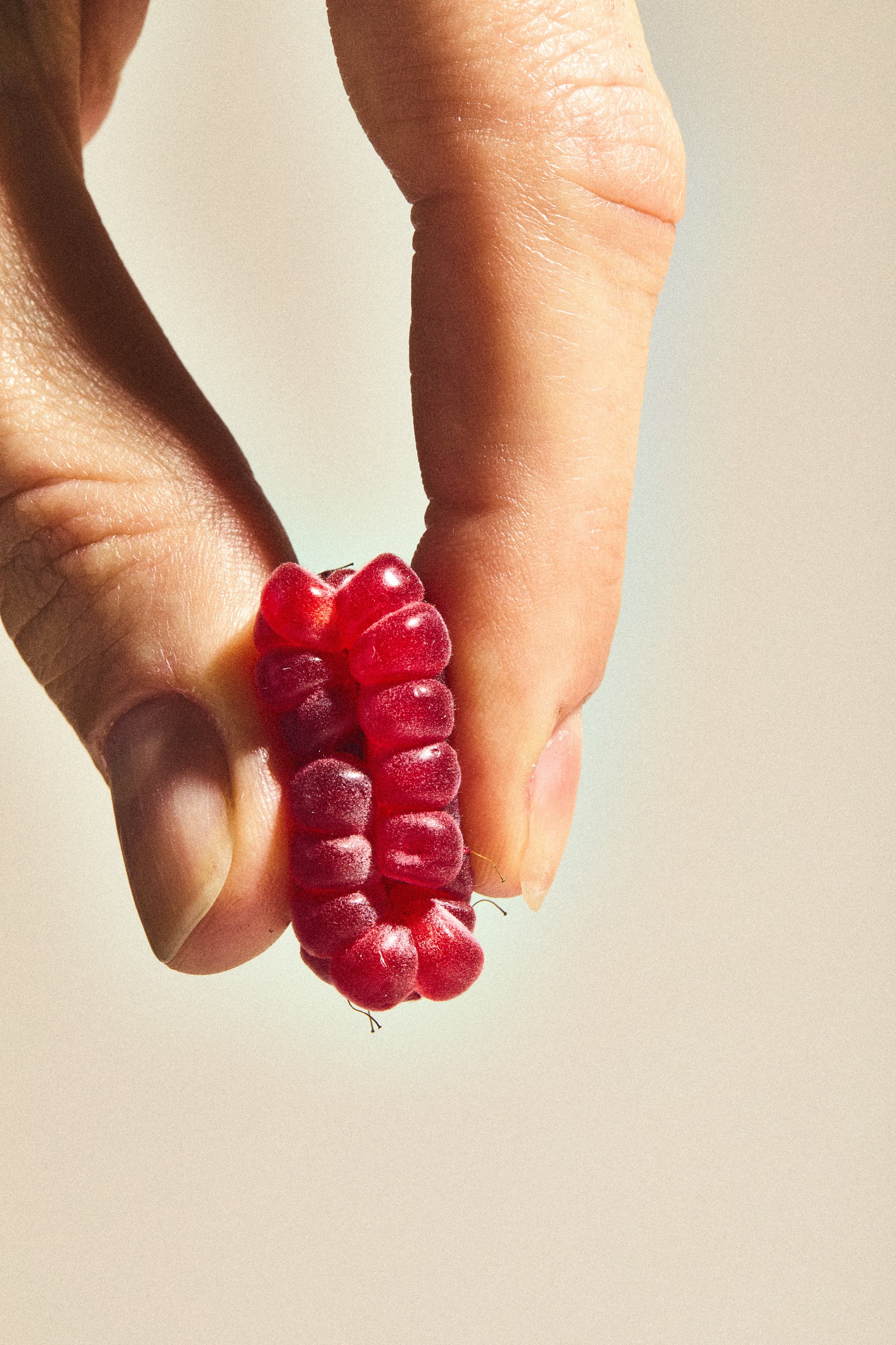 WP_VM_Raspberry_WorldBuilding_MacroFood_05_2x3_Web.jpg