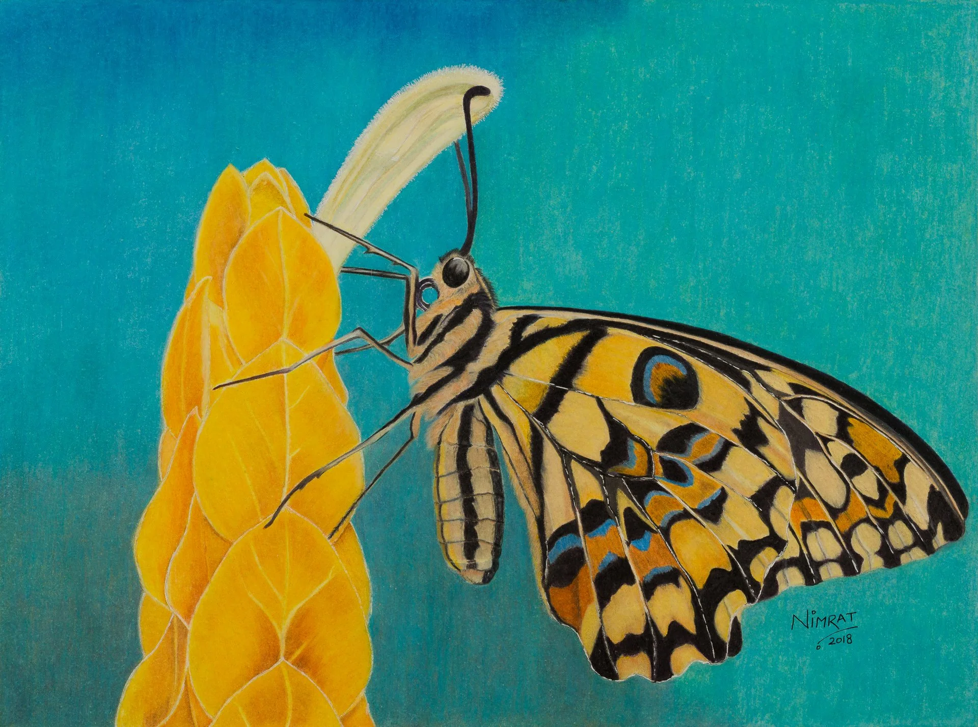 _Q7C4661 - medium.jpg