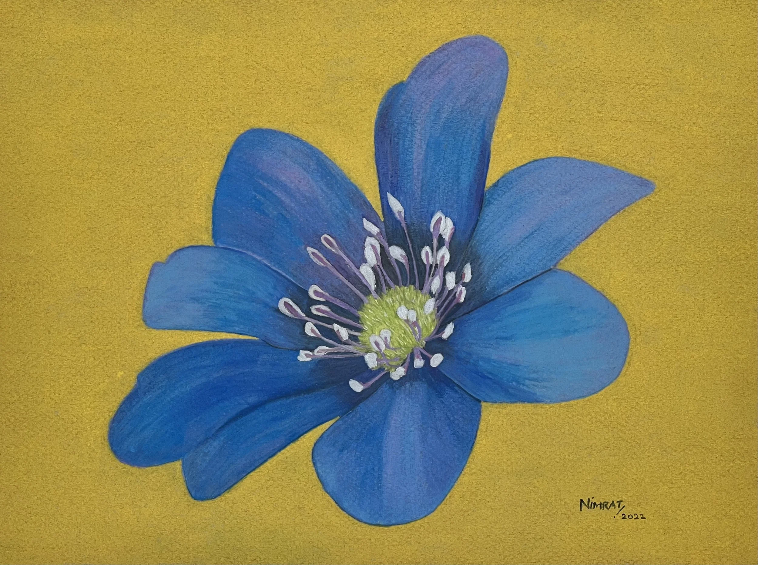 4 Something Blue.jpeg