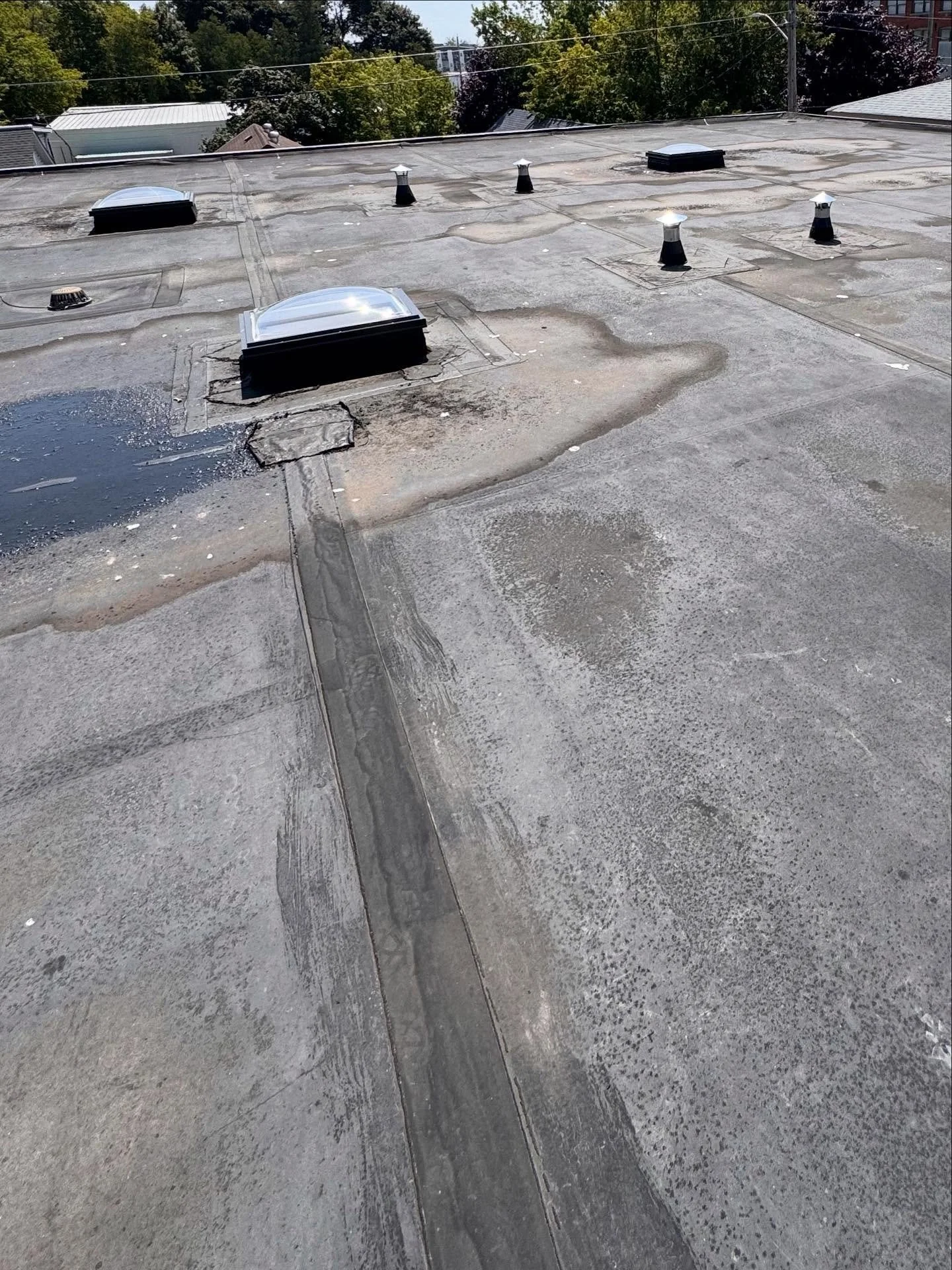 Gave this roof a much needed makeover 

Book now 705-952-2013