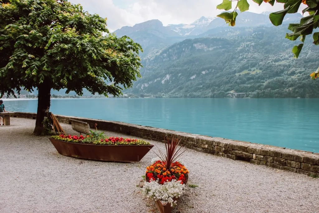 Hidden Gems and Secluded Coves on Lake Thun Accessible Only by Private Charter