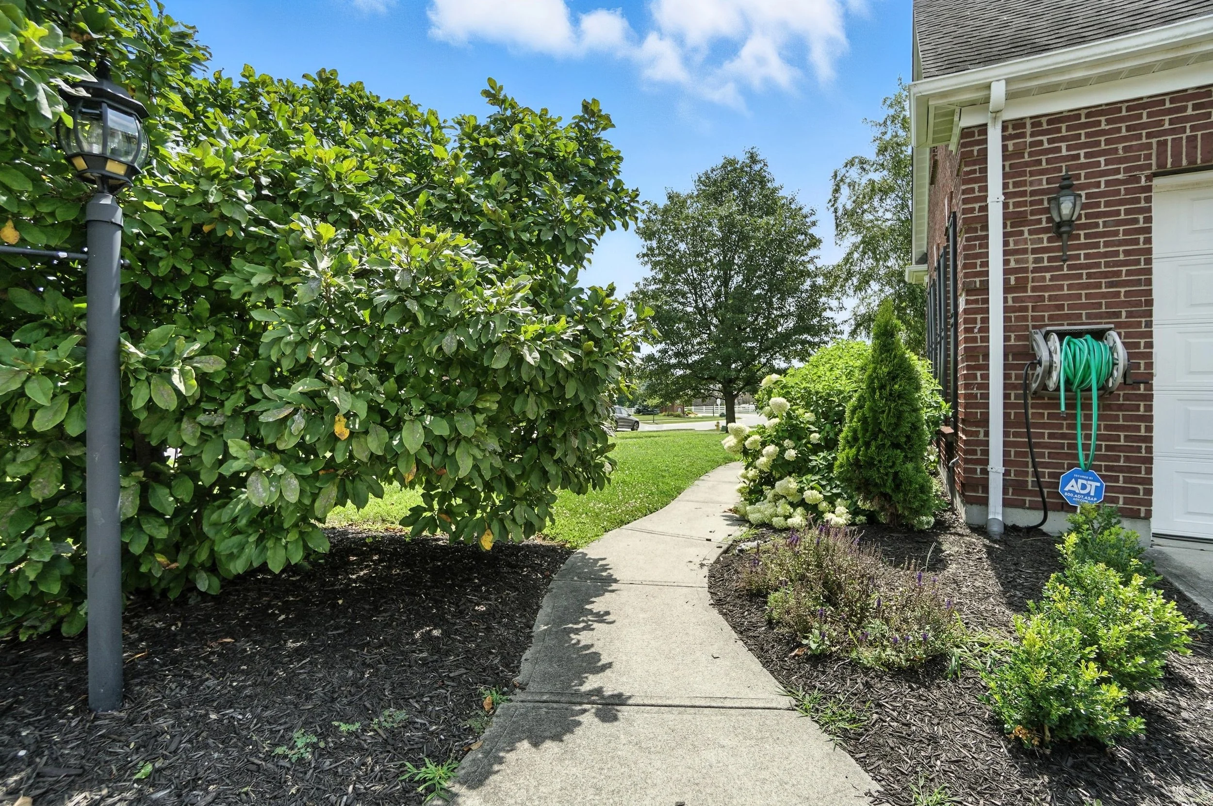 Sidewalk leading away from house with garden beds and shrubs, a tree in the background, and part of a brick house with a garden hose on the wall.