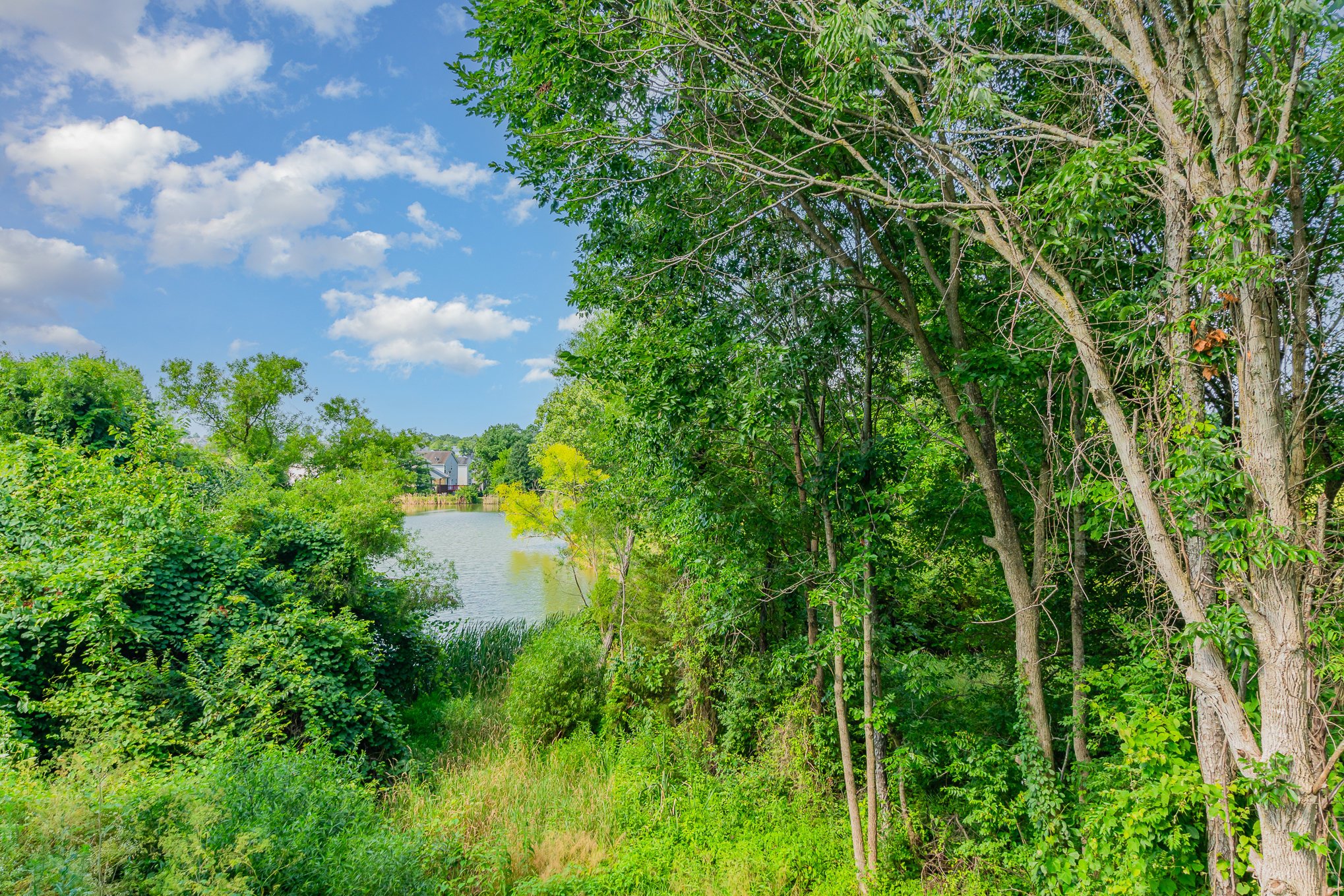 026_3556mooneyave45-edit_405.jpg