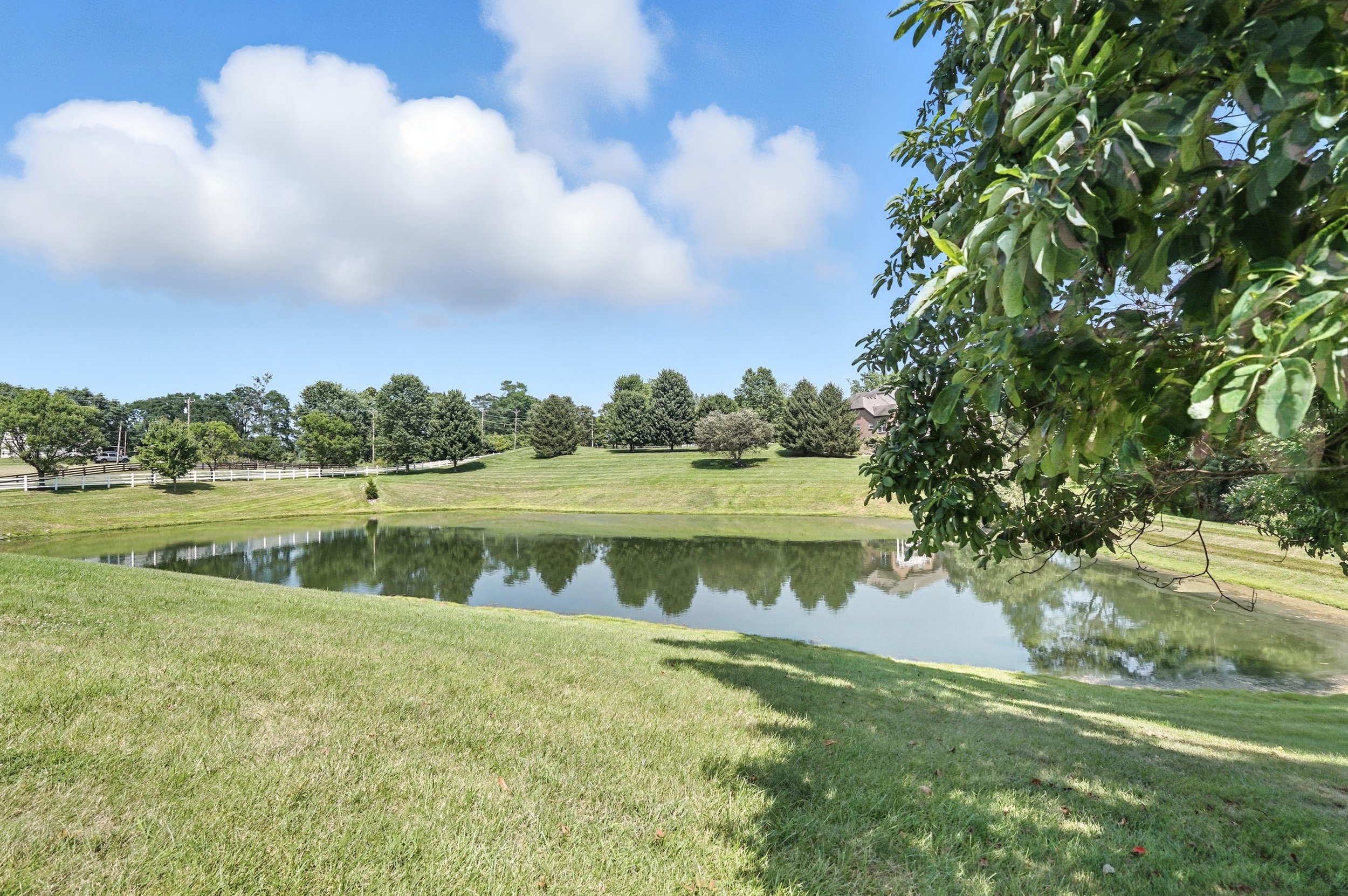 A serene landscape with a small pond reflected in the water, surrounded by green grass, trees, and a partly cloudy blue sky.