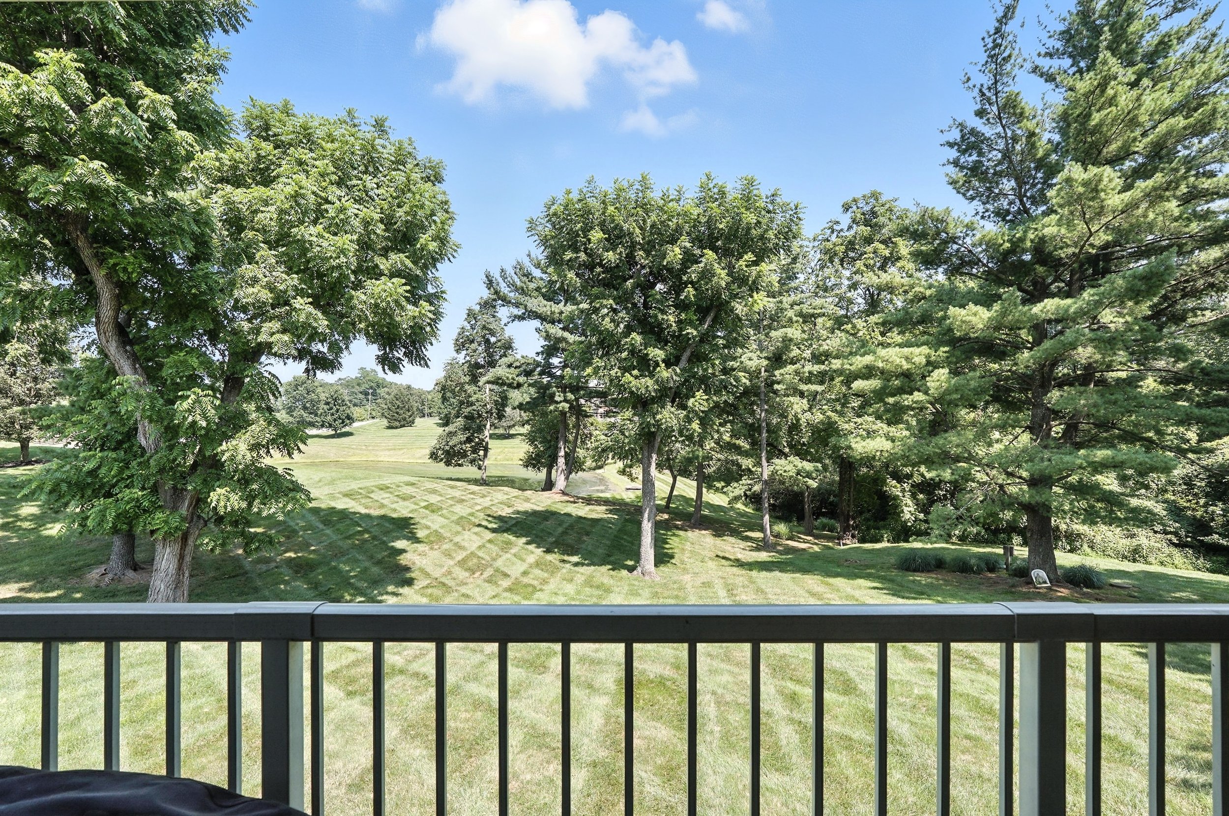 View from a balcony with black metal railing looking out on a green grassy area with scattered trees under a partly cloudy blue sky.