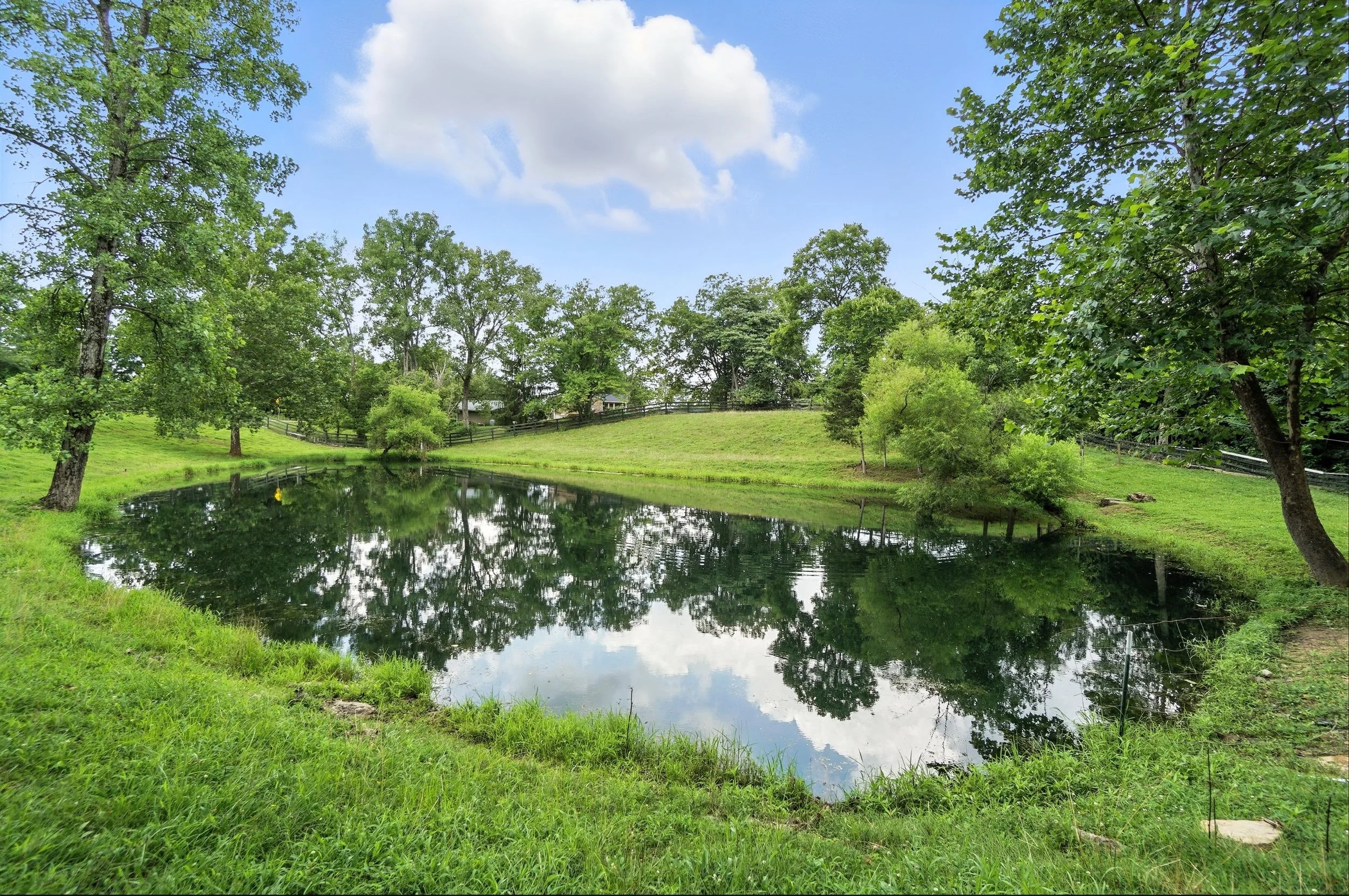 A peaceful pond surrounded by lush green trees and grass, reflecting the blue sky and white clouds.